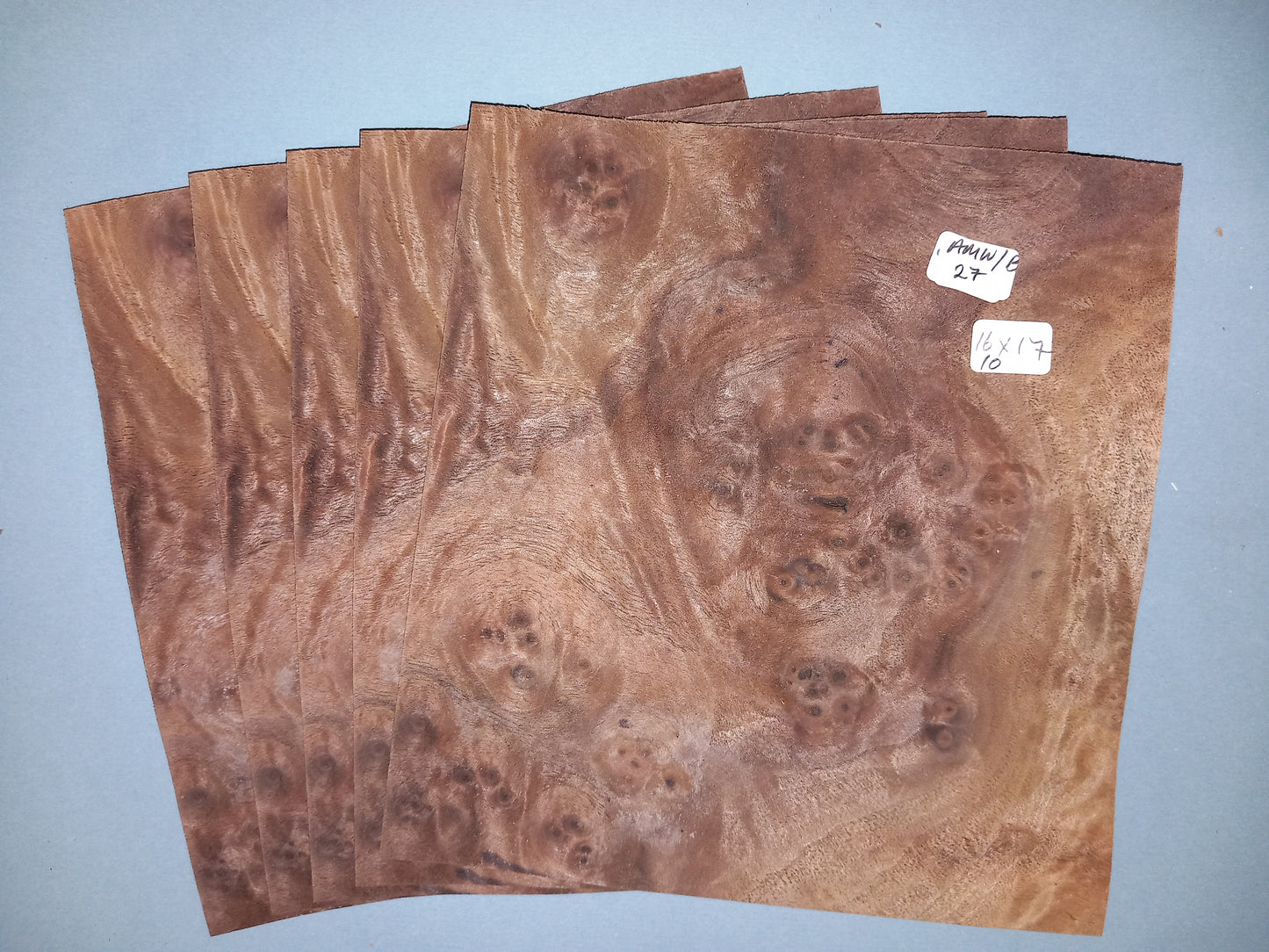 5 CONSECUTIVE SHEETS OF AMERICAN WALNUT BURR VENEER 16 X 17 CM