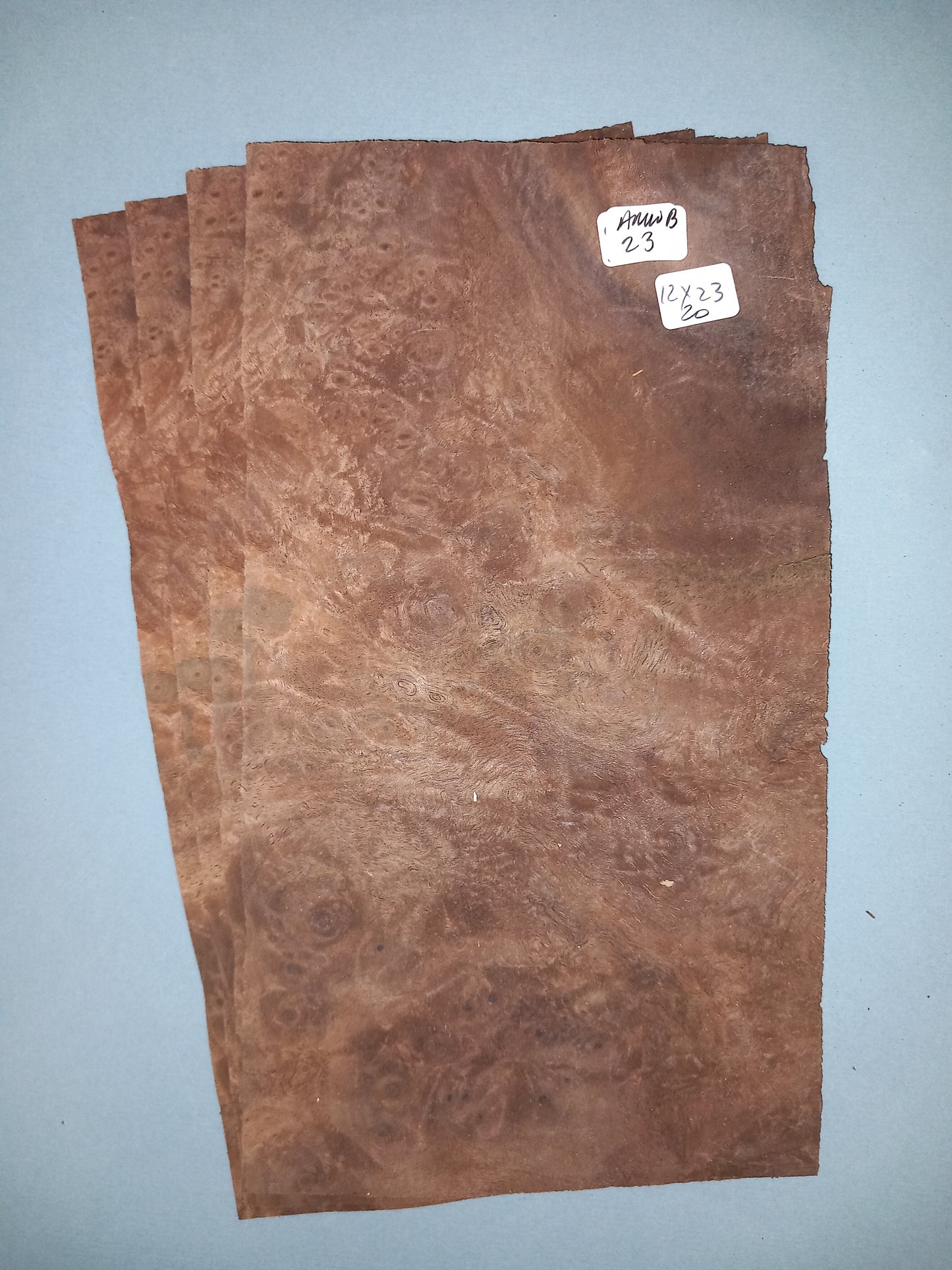 4 CONSECUTIVE SHEETS OF AMERICAN WALNUT BURR VENEER 12 X 23 CM