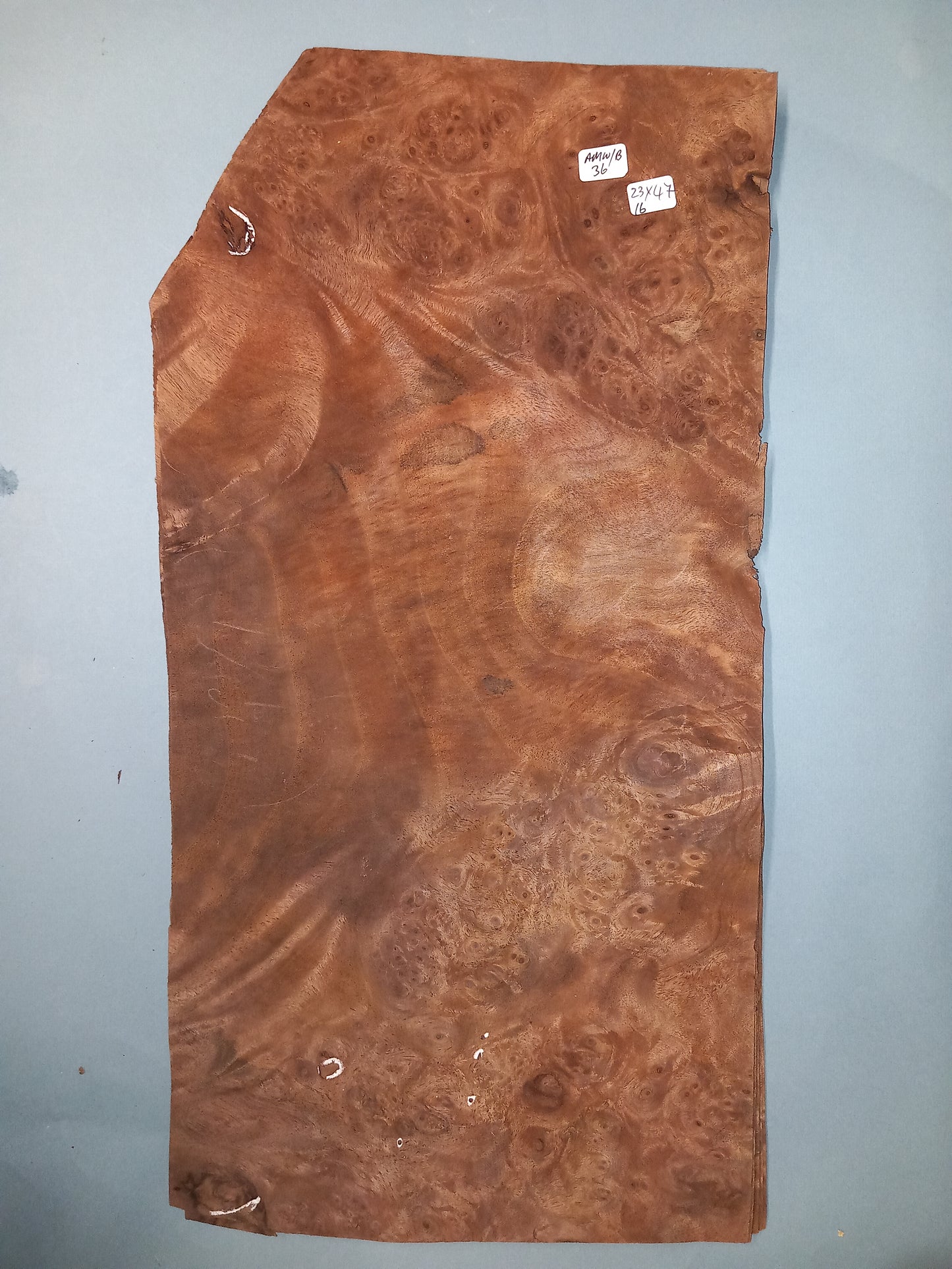 CONSECUTIVE SHEETS OF AMERICAN WALNUT BURR VENEER 23 X 47 CM