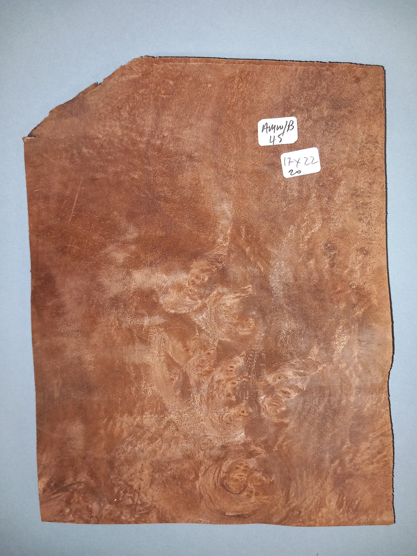 CONSECUTIVE SHEETS OF AMERICAN WALNUT BURR VENEER 17 X 22 CM