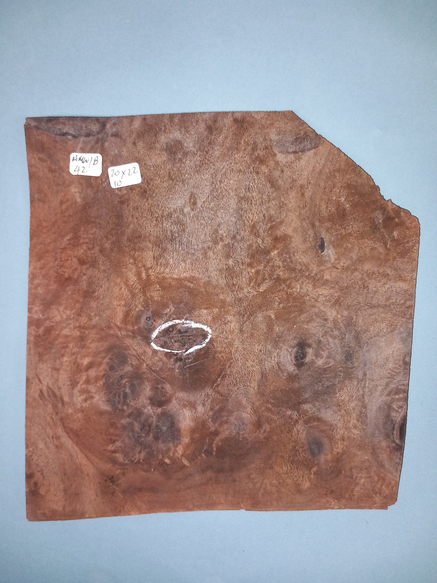 CONSECUTIVE SHEETS OF AMERICAN WALNUT BURR VENEER 20 X 22 CM