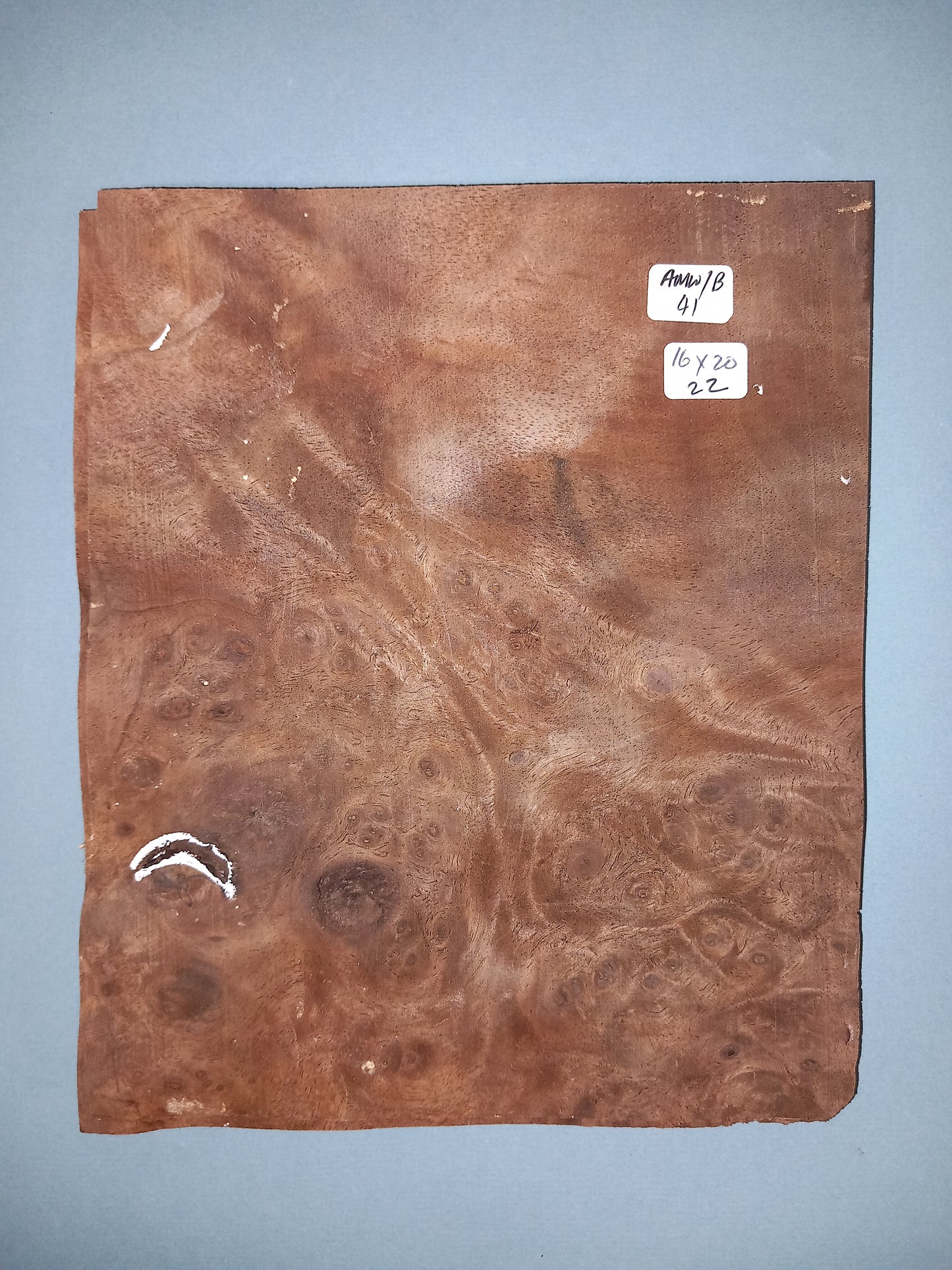 CONSECUTIVE SHEETS OF AMERICAN WALNUT BURR VENEER 16 X 20 CM