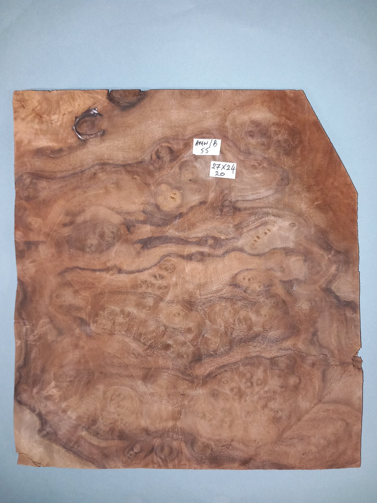 CONSECUTIVE SHEETS OF AMERICAN WALNUT BURR VENEER 27 X 24 CM