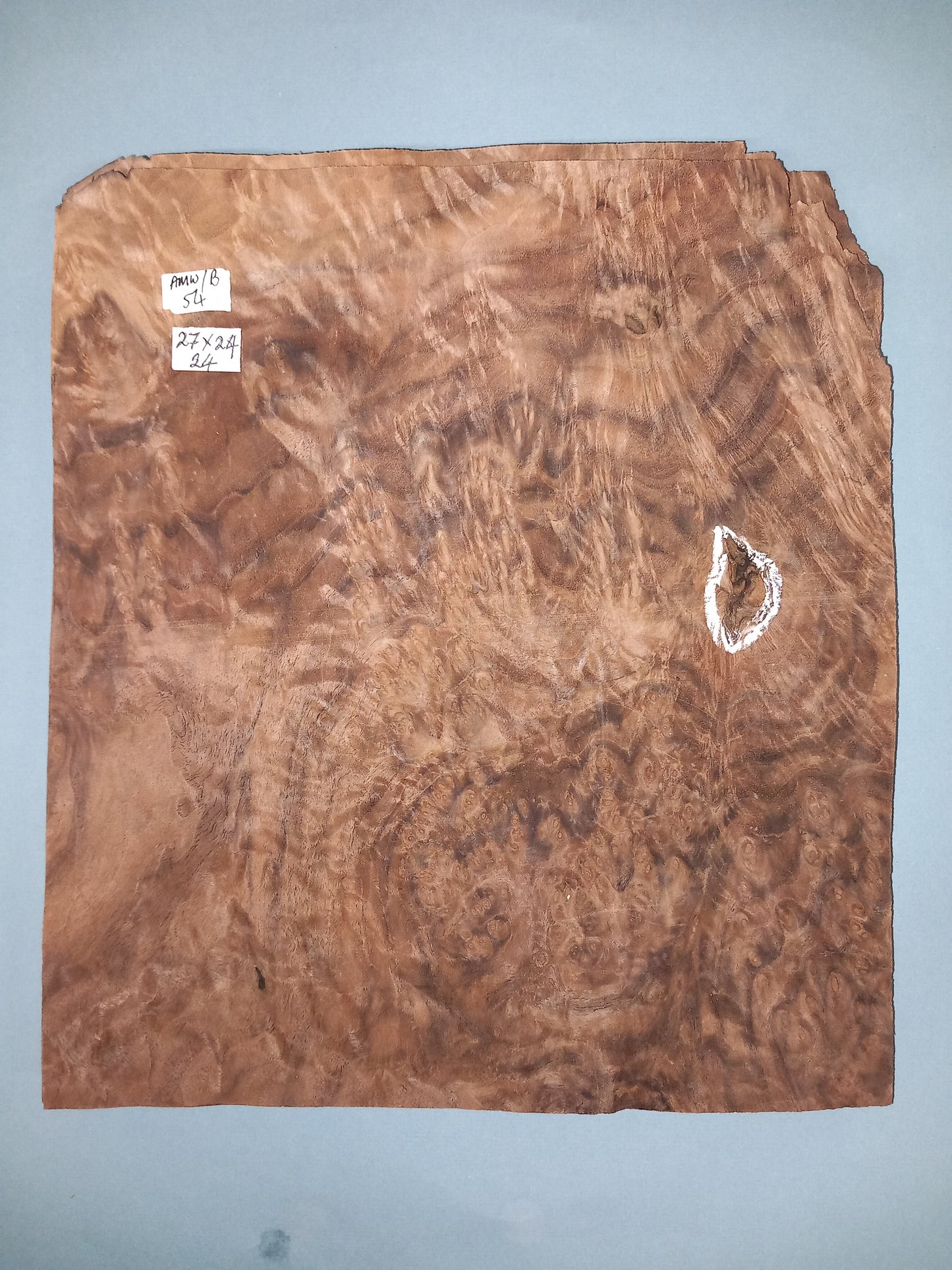 CONSECUTIVE SHEETS OF AMERICAN WALNUT BURR VENEER 27 X 24 CM