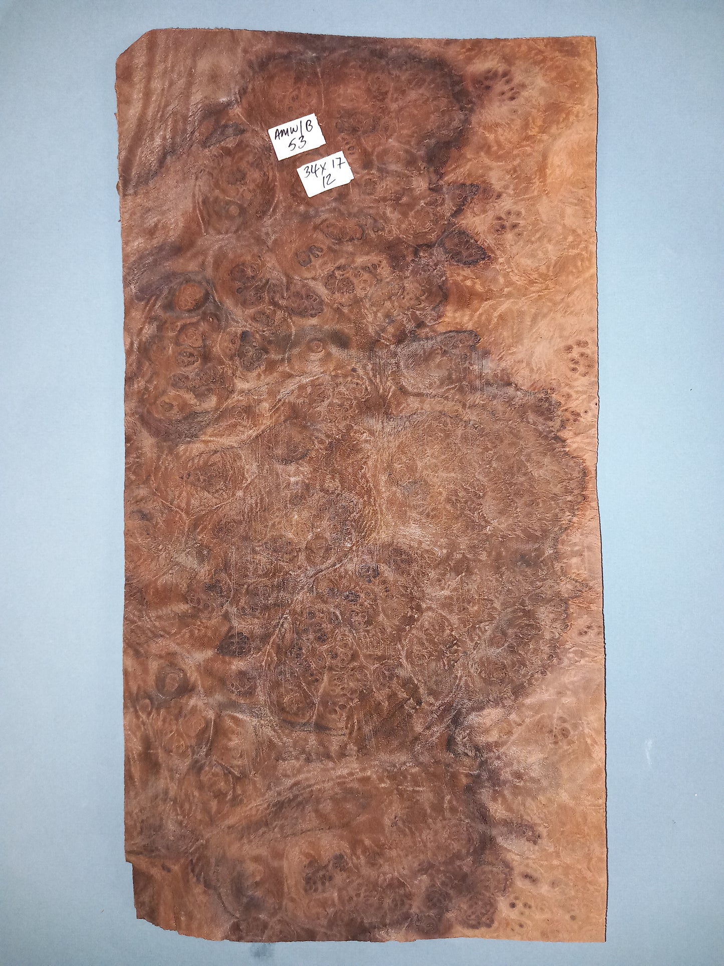 CONSECUTIVE SHEETS OF AMERICAN WALNUT BURR VENEER 34 X 17 CM