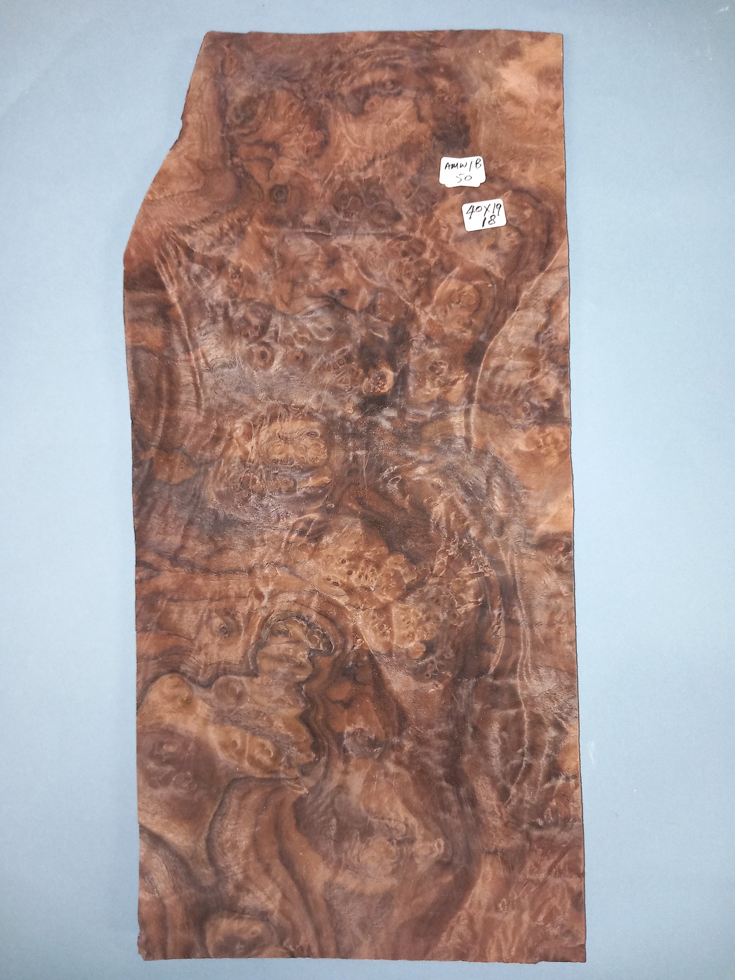 CONSECUTIVE SHEETS OF AMERICAN WALNUT BURR VENEER 40 X 19 CM