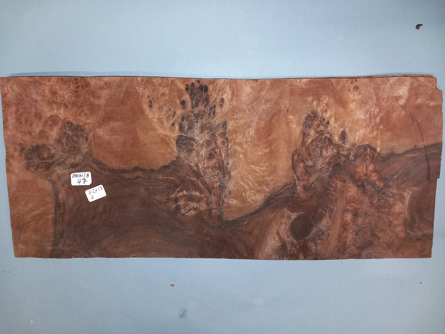 CONSECUTIVE SHEETS OF AMERICAN WALNUT BURR VENEER 42 X 17 CM