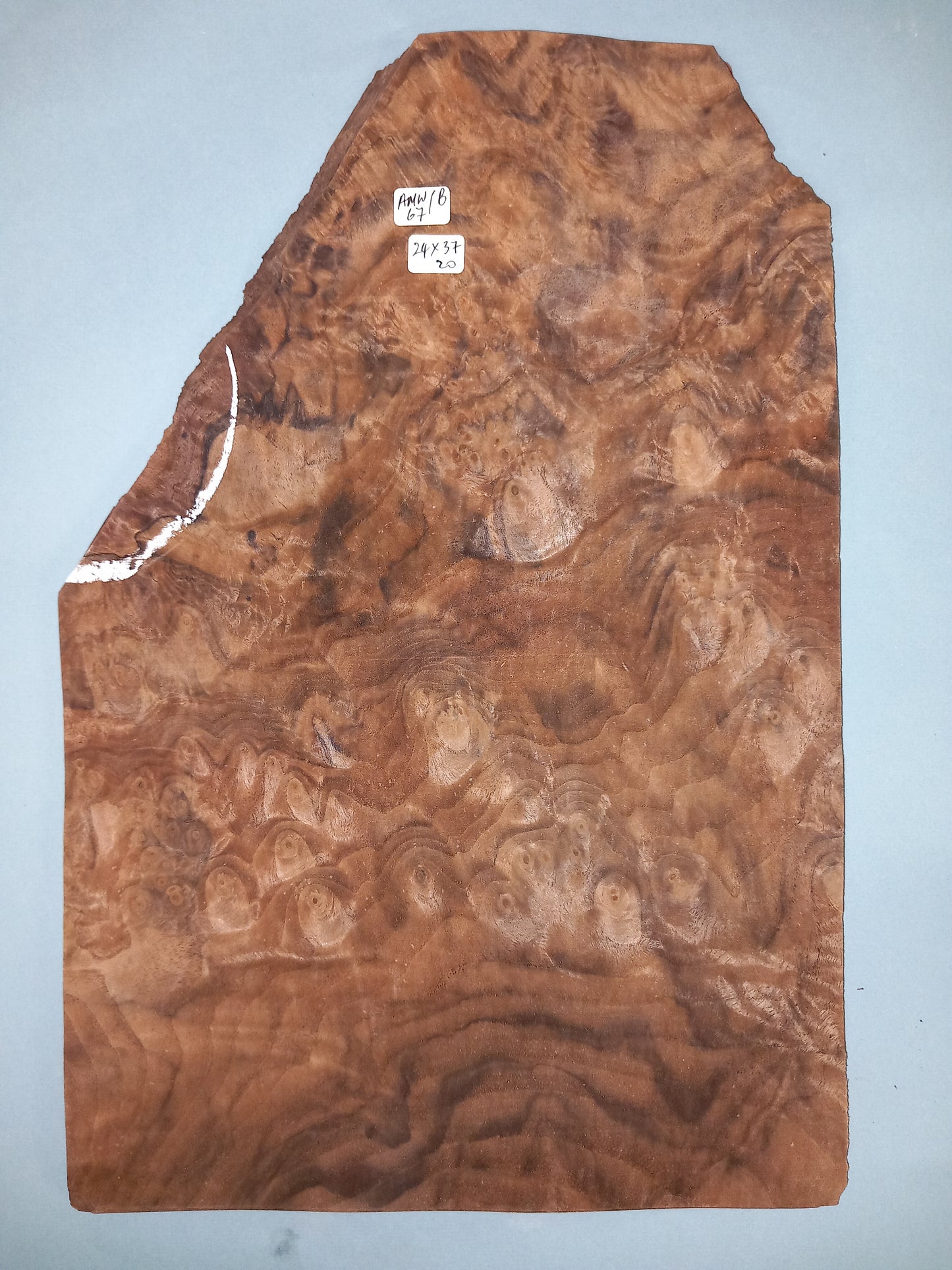 CONSECUTIVE SHEETS OF AMERICAN WALNUT BURR VENEER 24 X 37 CM