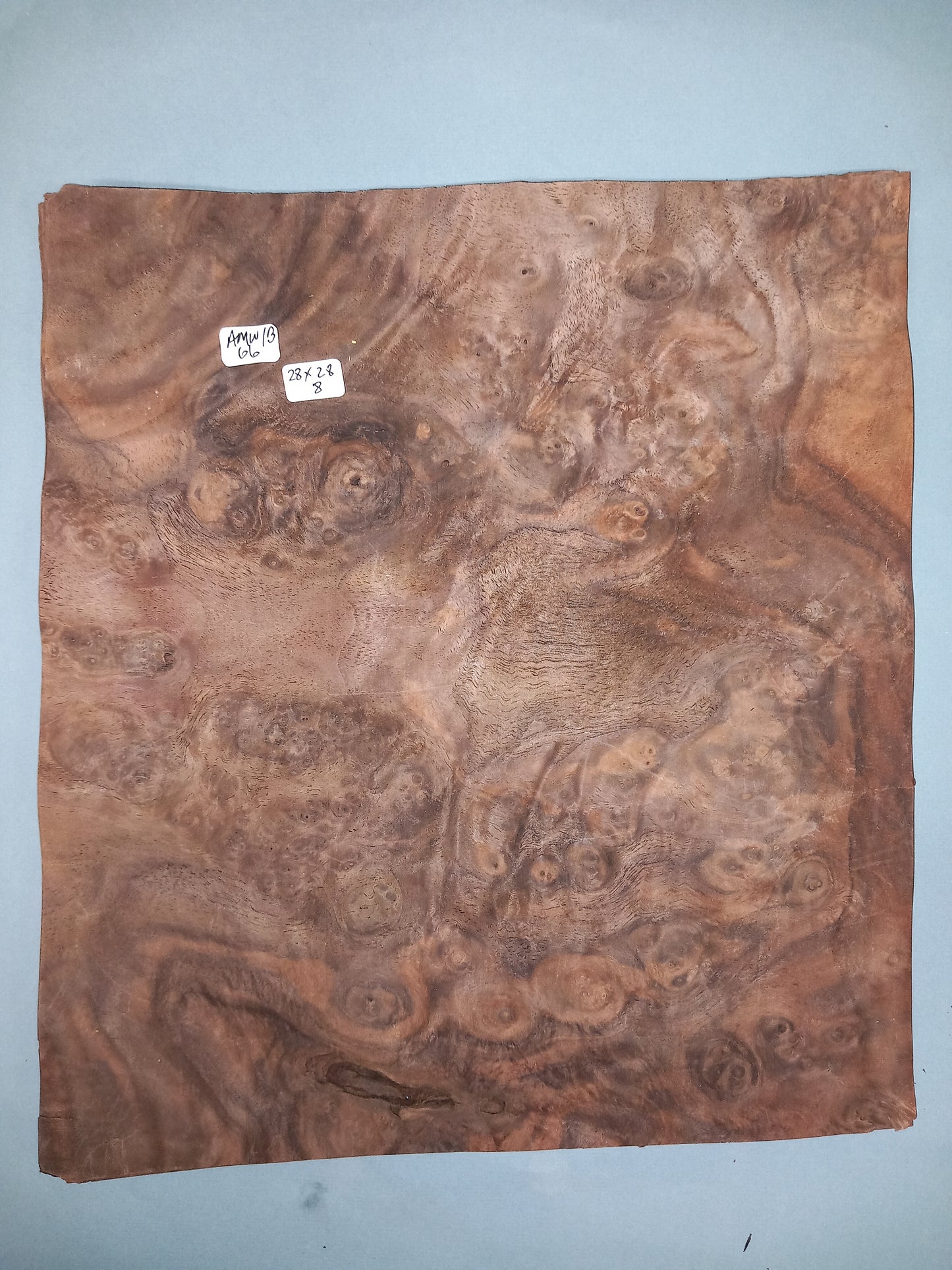 CONSECUTIVE SHEETS OF AMERICAN WALNUT BURR VENEER 28 X 28 CM