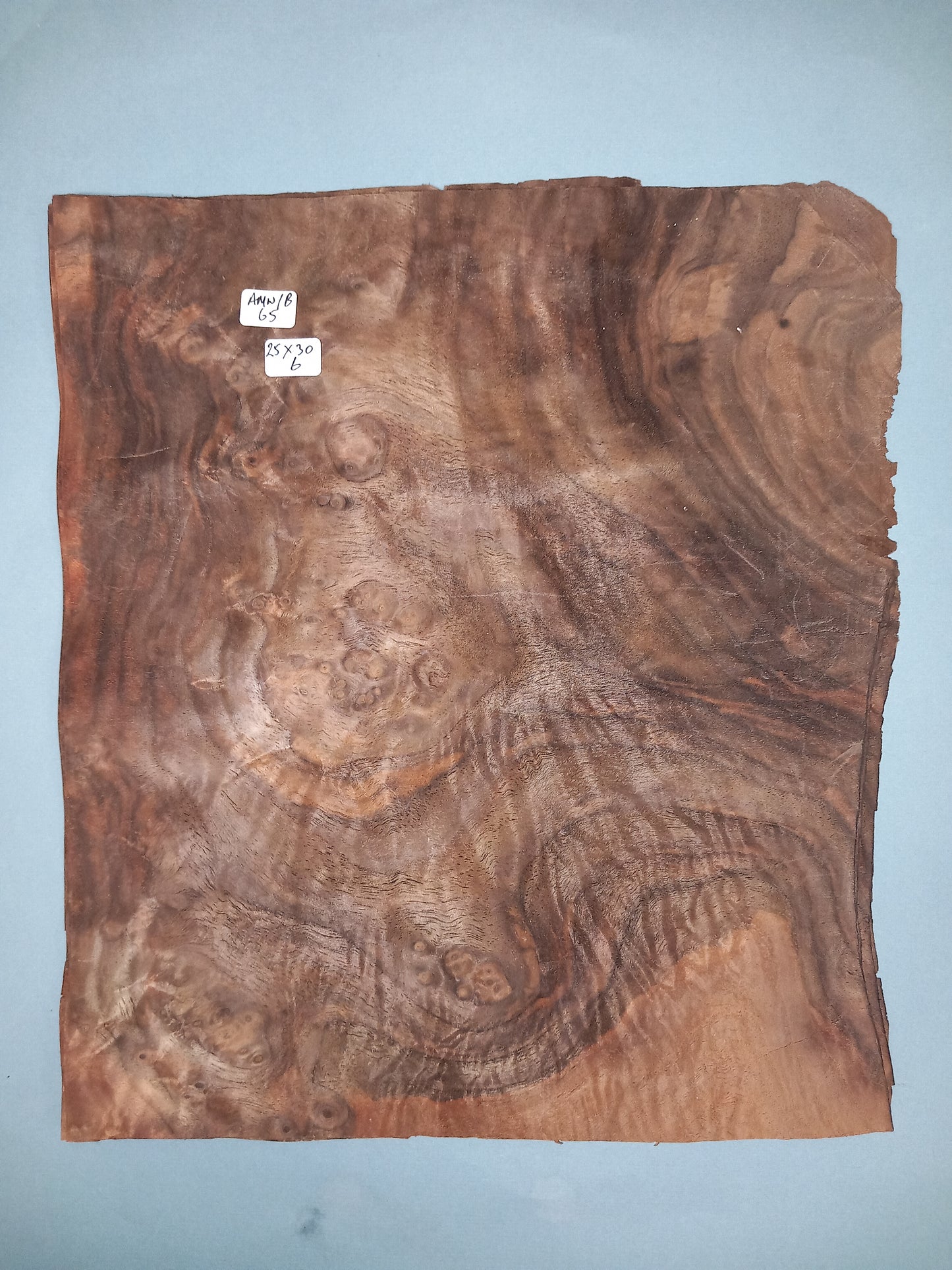 CONSECUTIVE SHEETS OF AMERICAN WALNUT BURR VENEER 25 X 30 CM