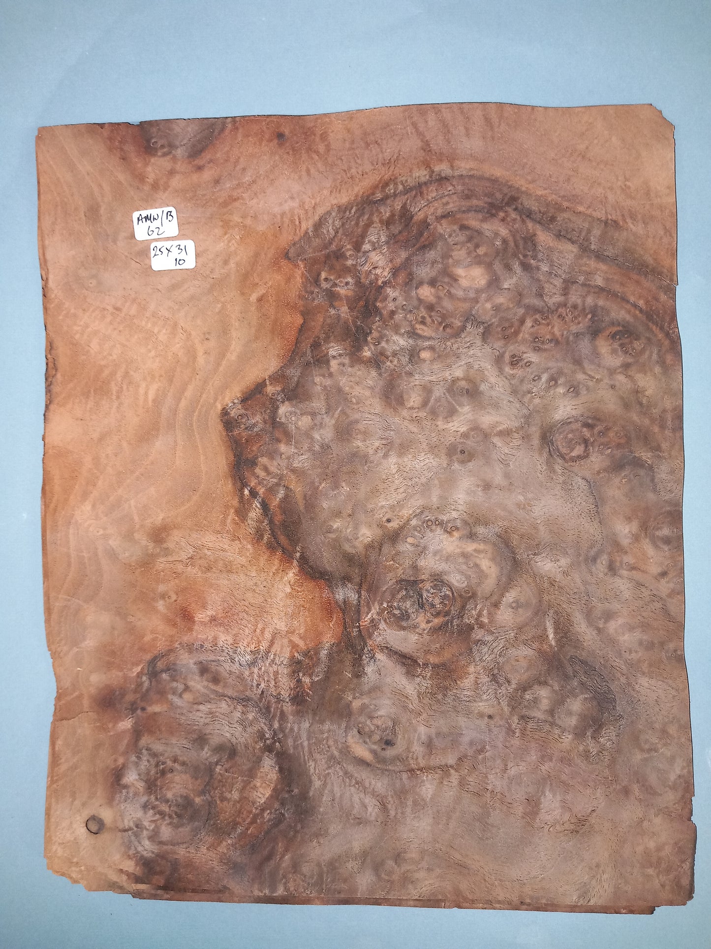 CONSECUTIVE SHEETS OF AMERICAN WALNUT BURR VENEER 25 X 31 CM