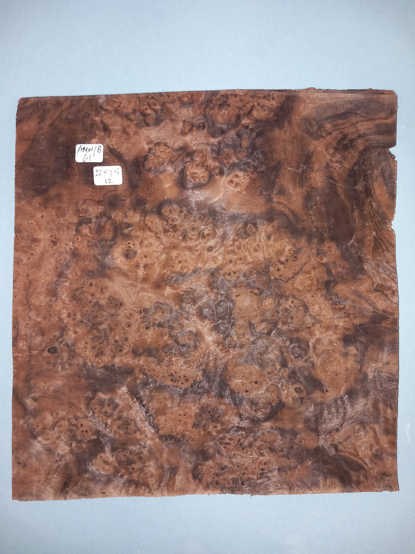 CONSECUTIVE SHEETS OF AMERICAN WALNUT BURR VENEER 22 X 25 CM