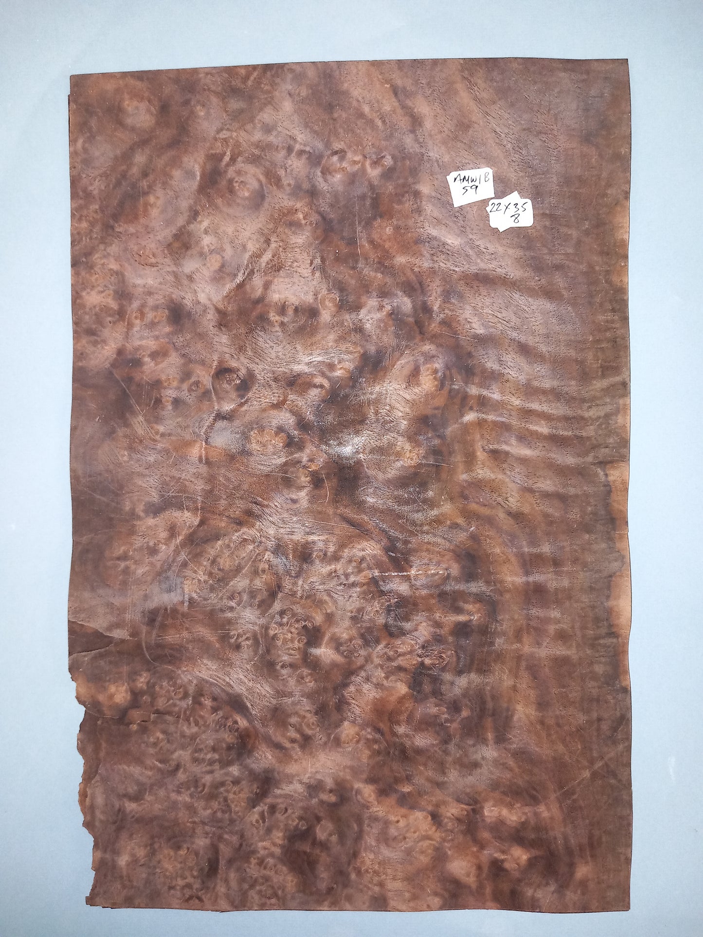 CONSECUTIVE SHEETS OF AMERICAN WALNUT BURR VENEER 22 X 35 CM