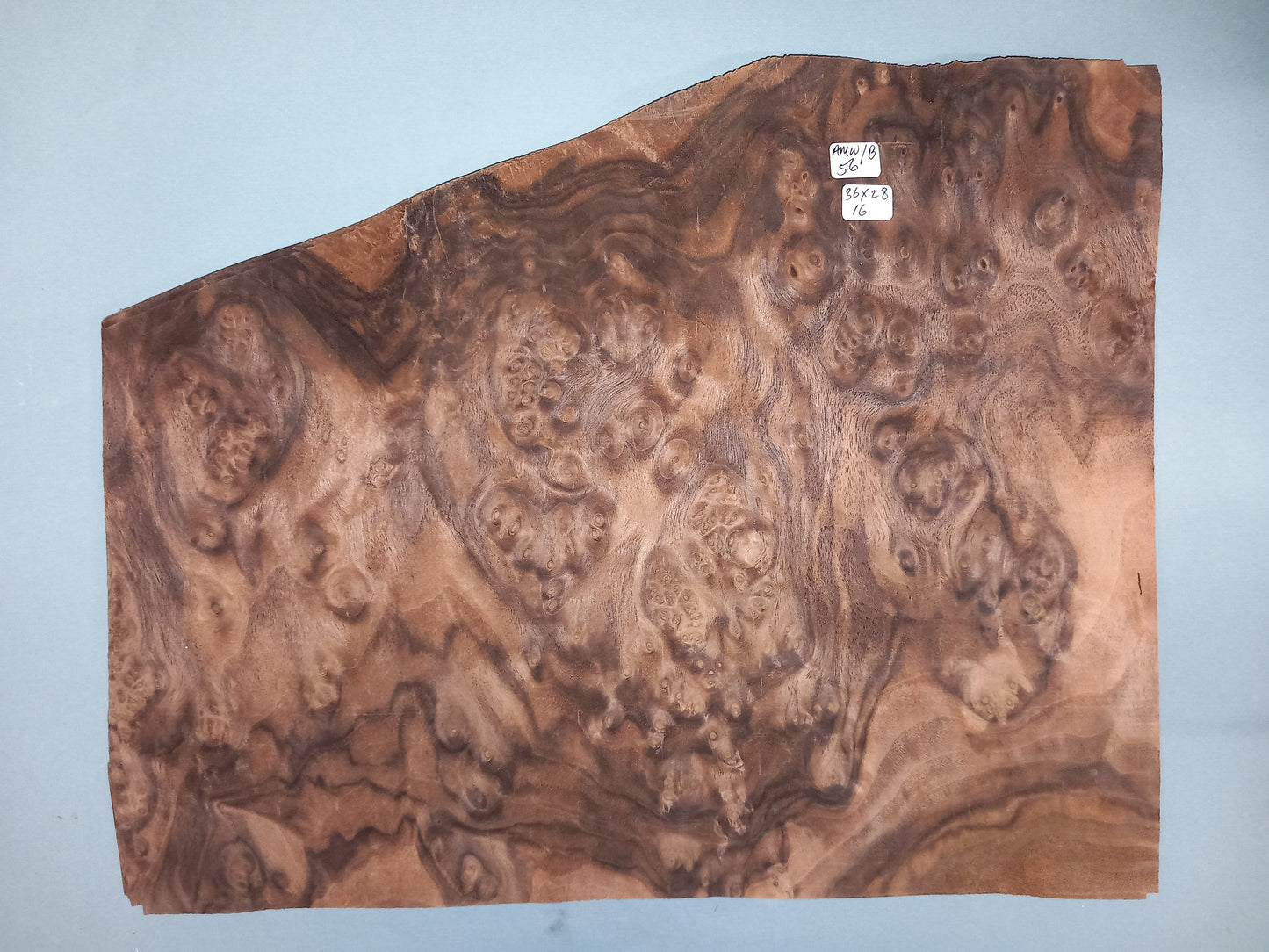 CONSECUTIVE SHEETS OF AMERICAN WALNUT BURR VENEER 36 X 28 CM