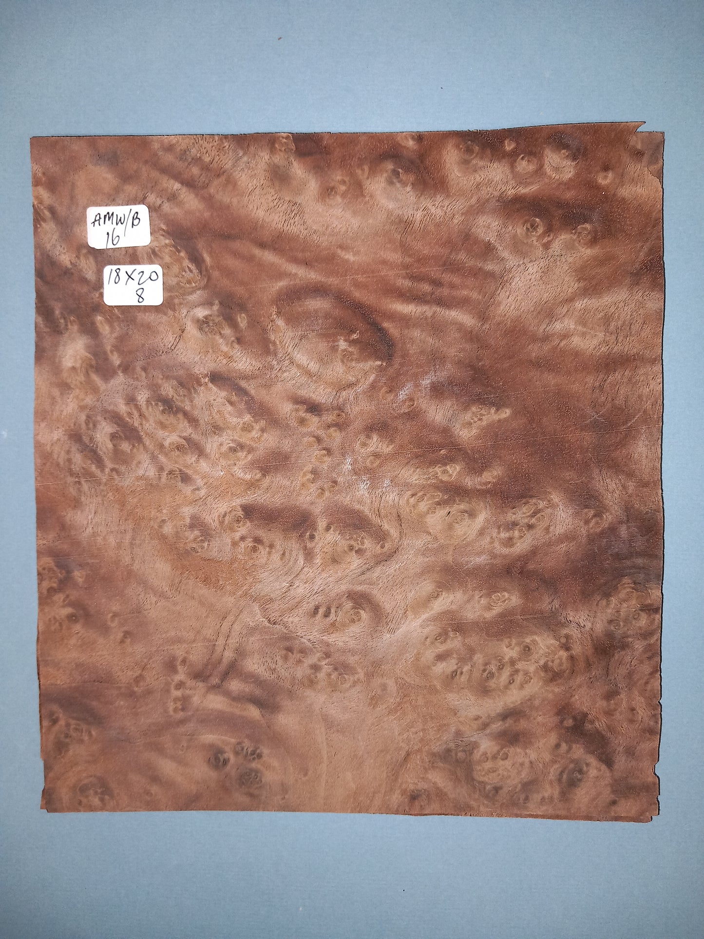 CONSECUTIVE SHEETS OF AMERICAN WALNUT BURR VENEER 18 X 20 CM