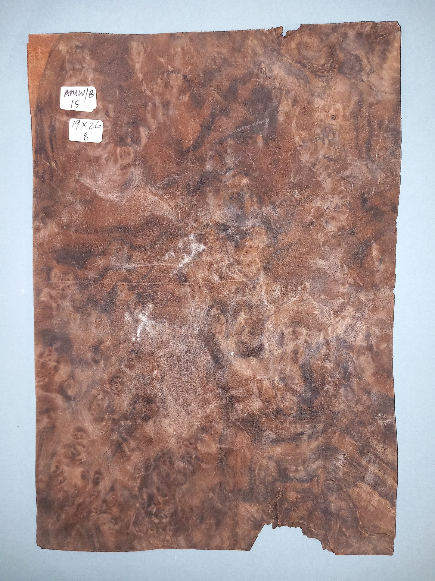 CONSECUTIVE SHEETS OF AMERICAN WALNUT BURR VENEER 19 X 26 CM