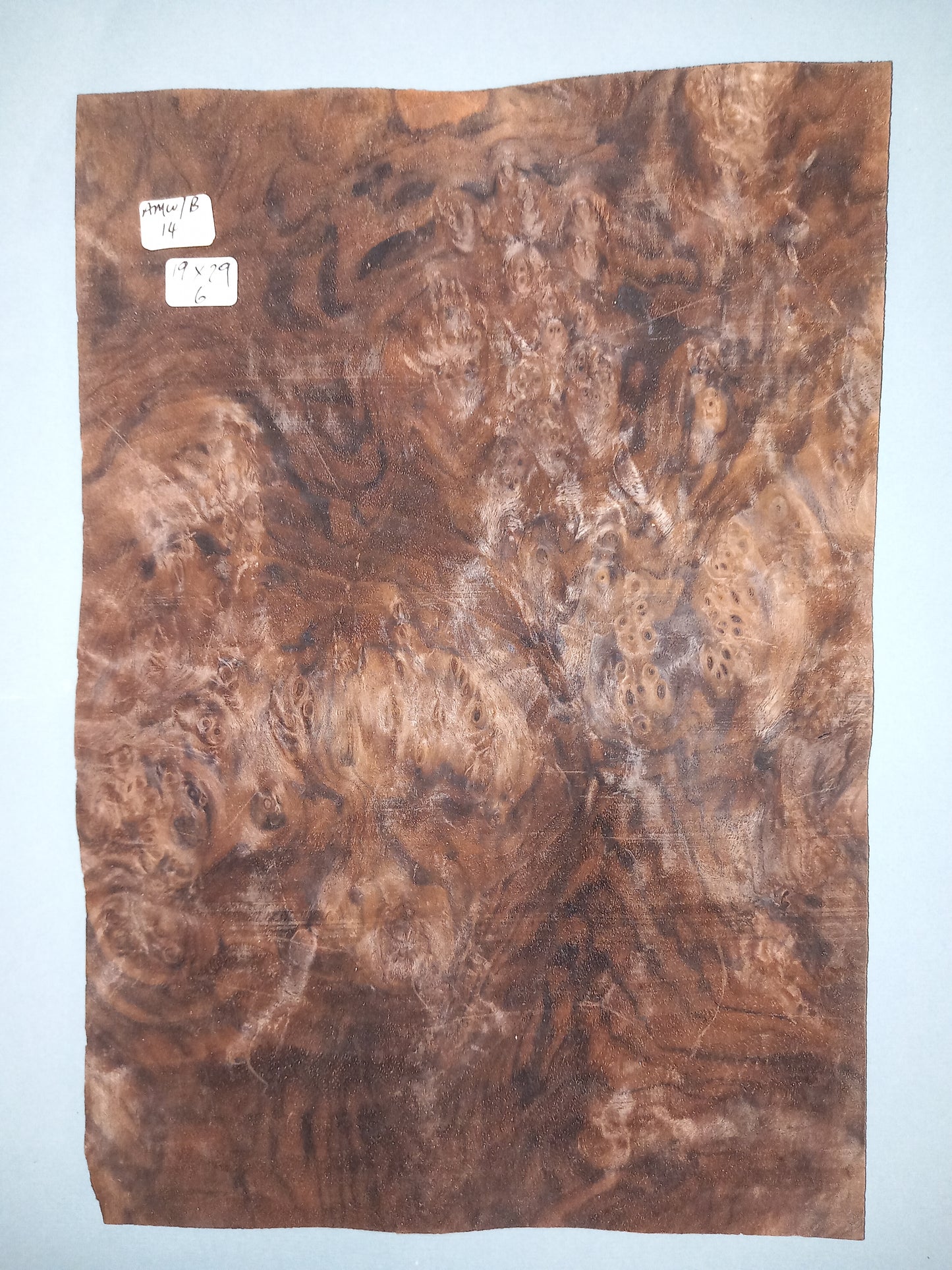 CONSECUTIVE SHEETS OF AMERICAN WALNUT BURR VENEER 19 X 29 CM
