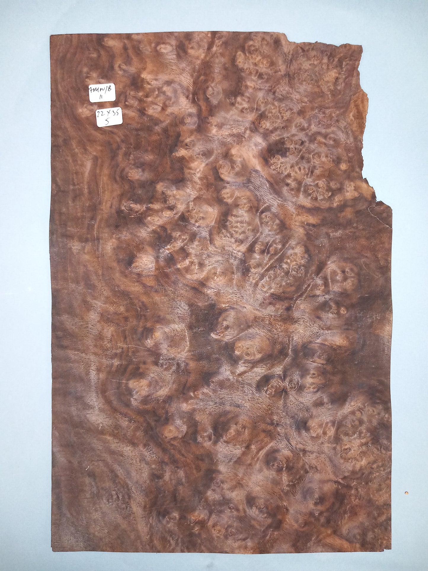 CONSECUTIVE SHEETS OF AMERICAN WALNUT BURR VENEER 22 X 35 CM