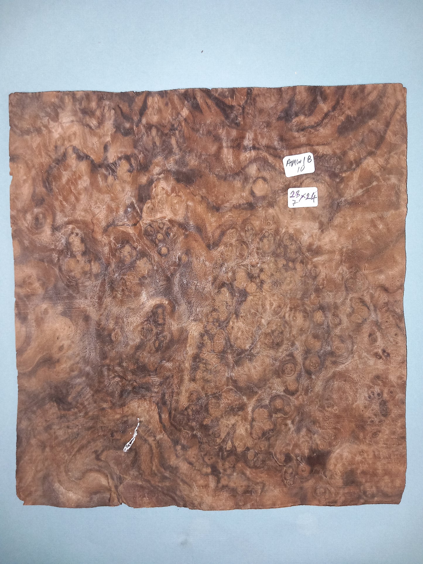 CONSECUTIVE SHEETS OF AMERICAN WALNUT BURR VENEER 23 X 24 CM