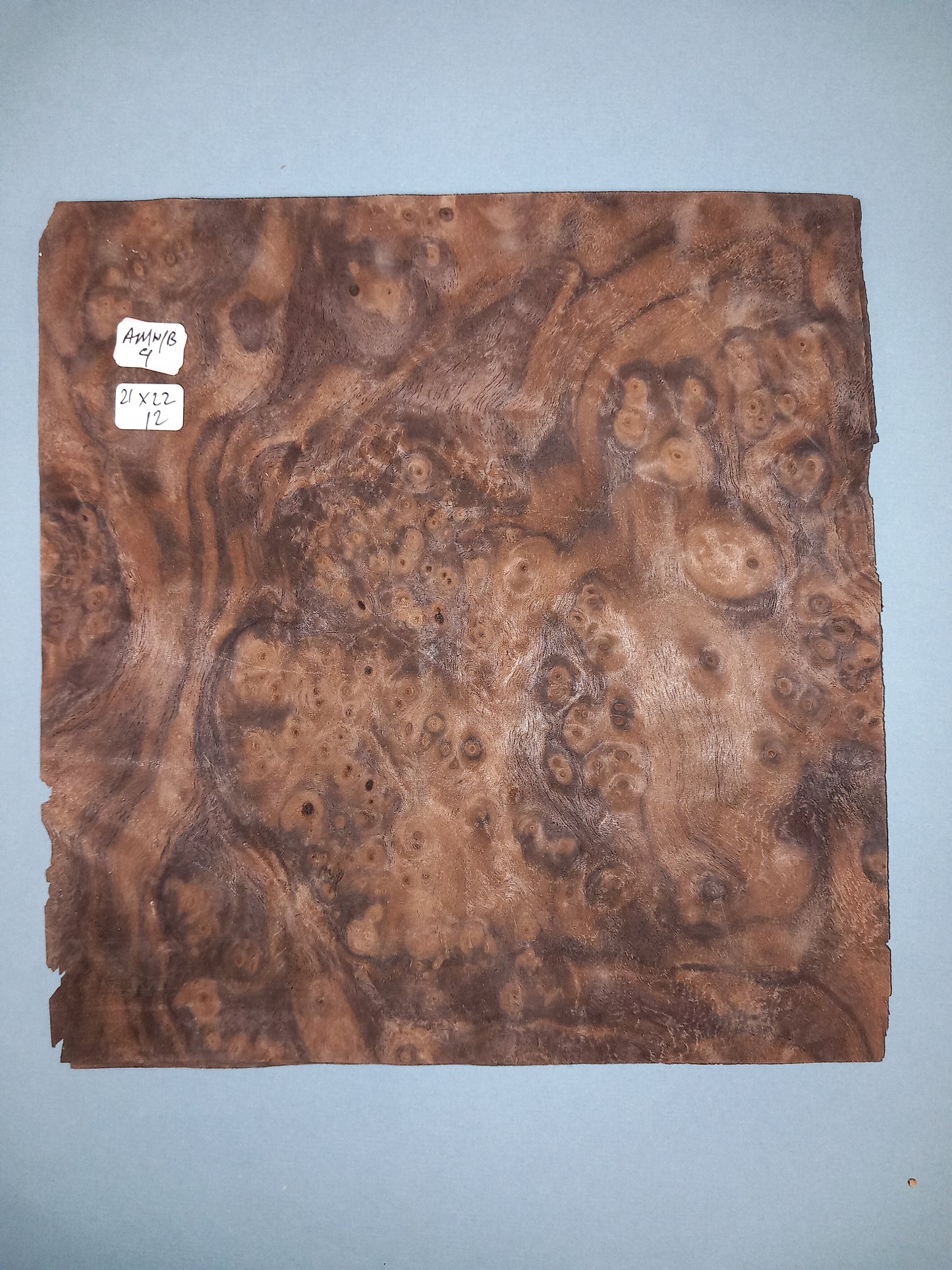 CONSECUTIVE SHEETS OF AMERICAN WALNUT BURR VENEER 21 X 22 CM