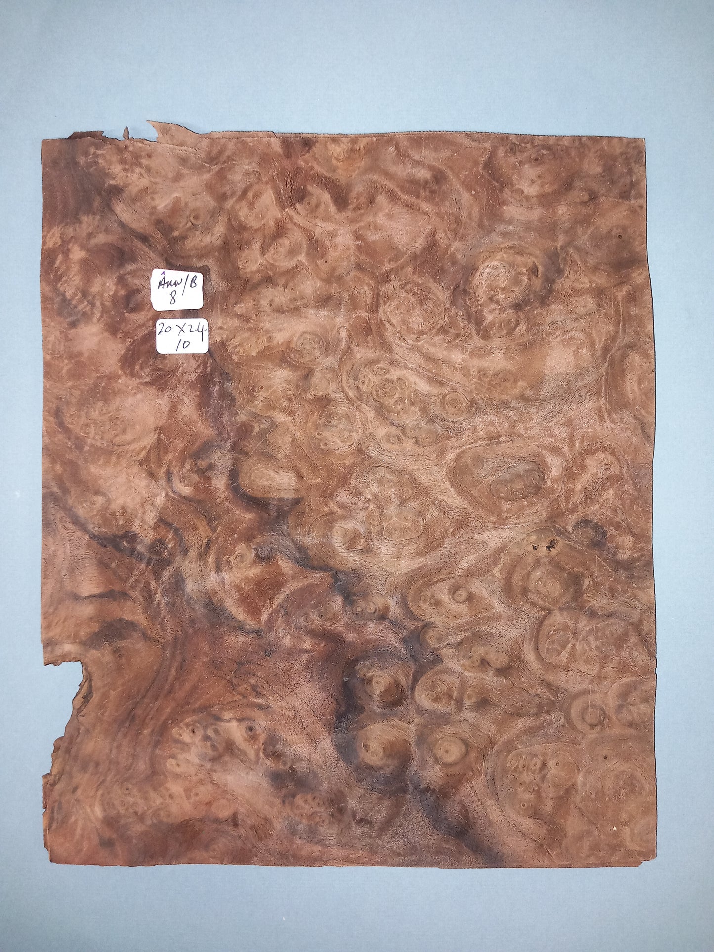 CONSECUTIVE SHEETS OF AMERICAN WALNUT BURR VENEER 20 X 24 CM