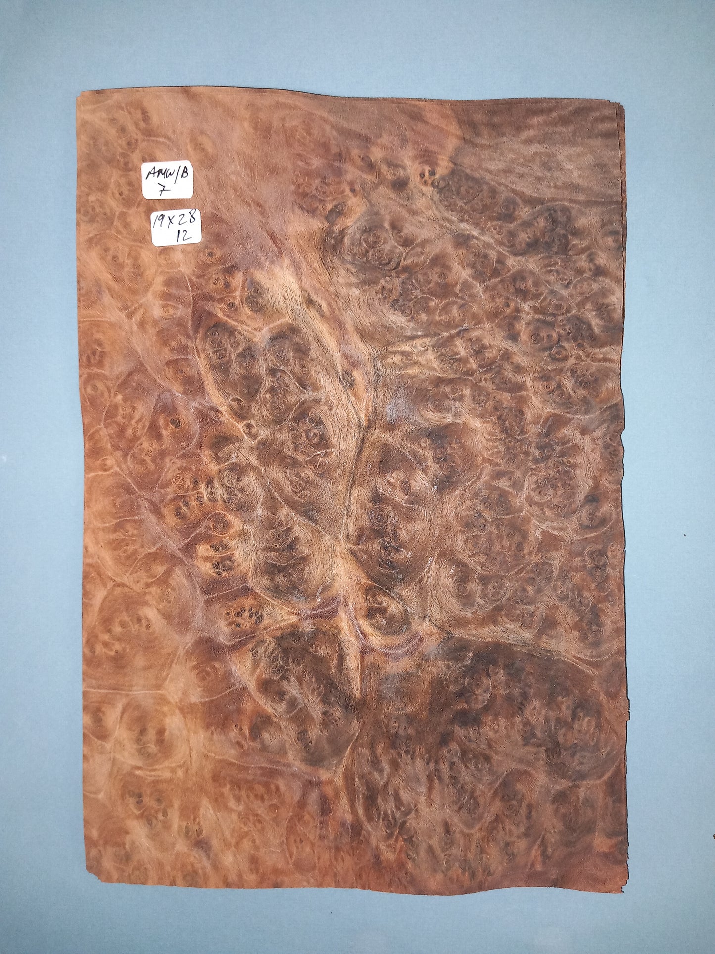 CONSECUTIVE SHEETS OF AMERICAN WALNUT BURR VENEER 19 X 28 CM