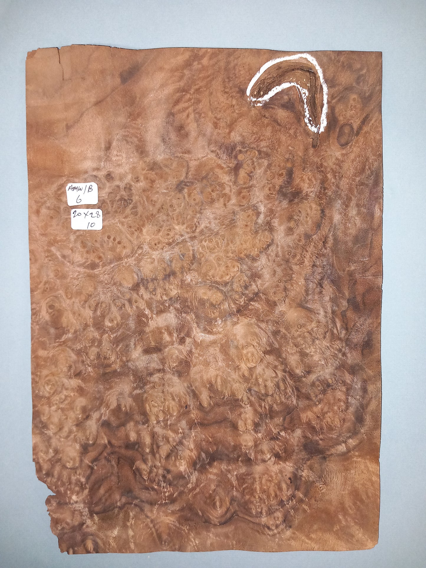CONSECUTIVE SHEETS OF AMERICAN WALNUT BURR VENEER 20 X 28 CM