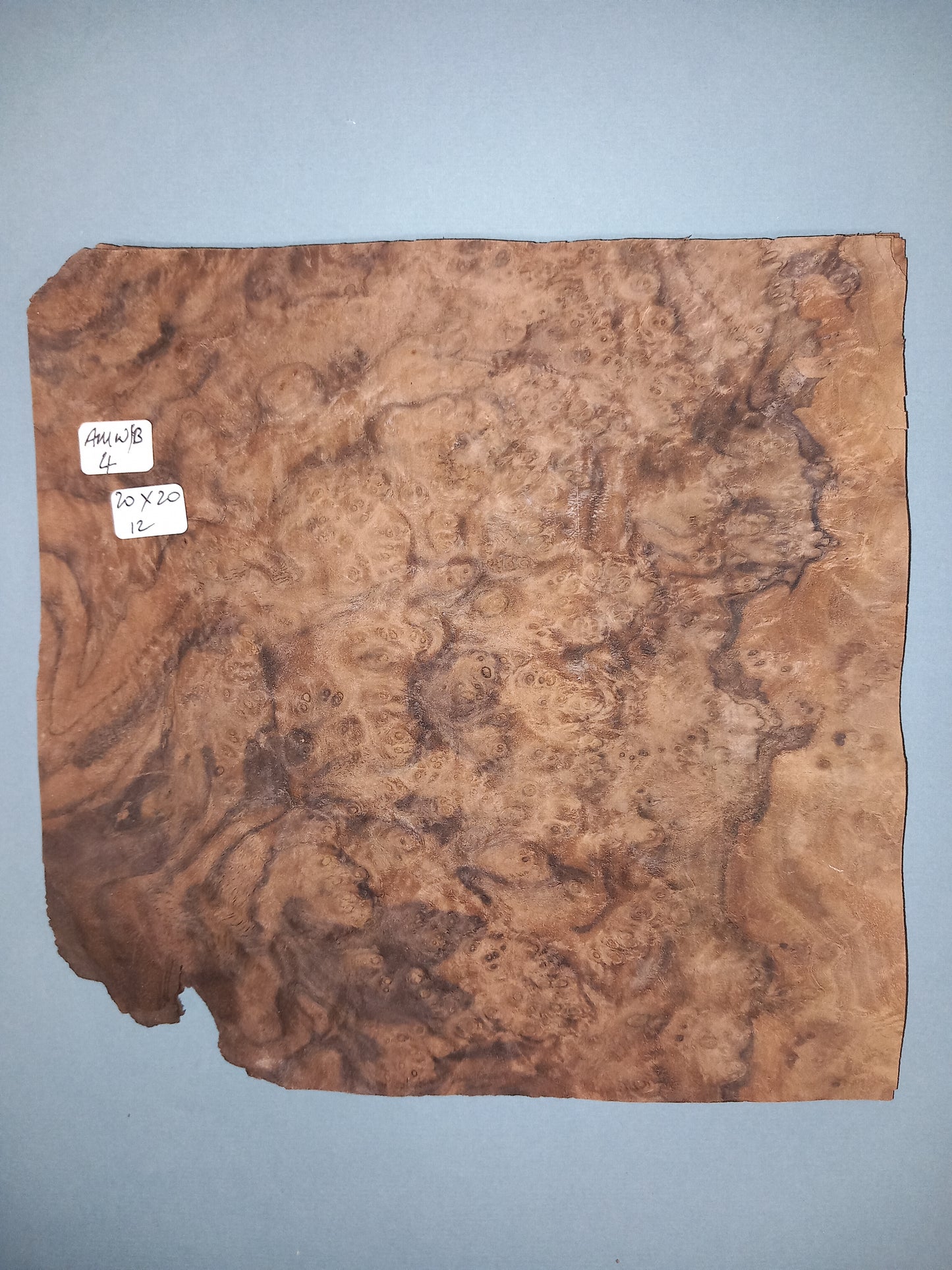 CONSECUTIVE SHEETS OF AMERICAN WALNUT BURR VENEER 20 X 20 CM
