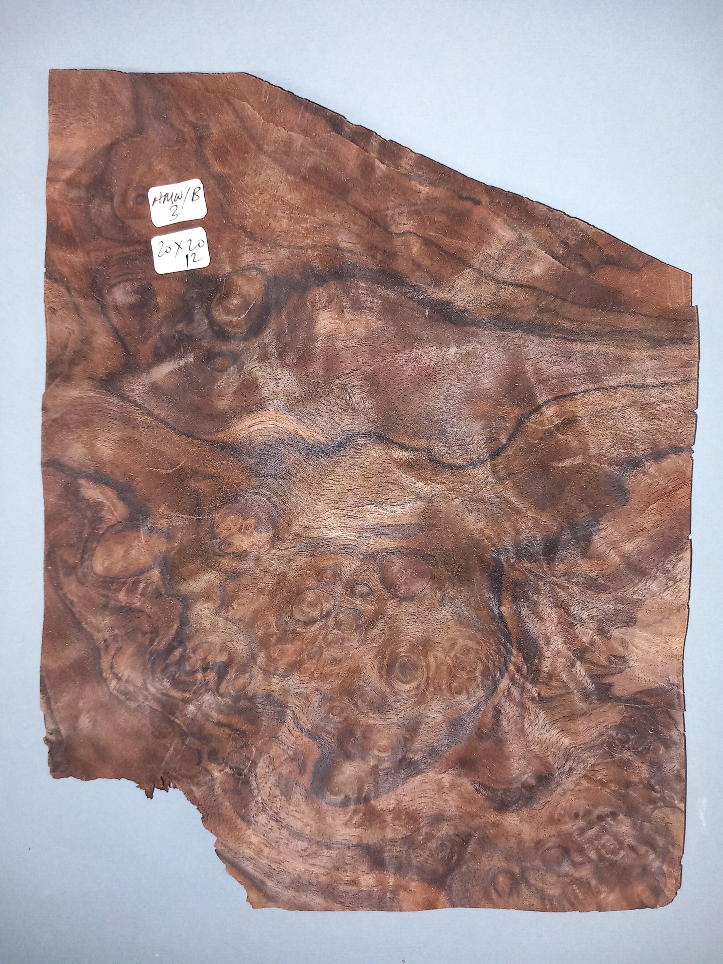 CONSECUTIVE SHEETS OF AMERICAN WALNUT BURR VENEER 20 X 20 CM