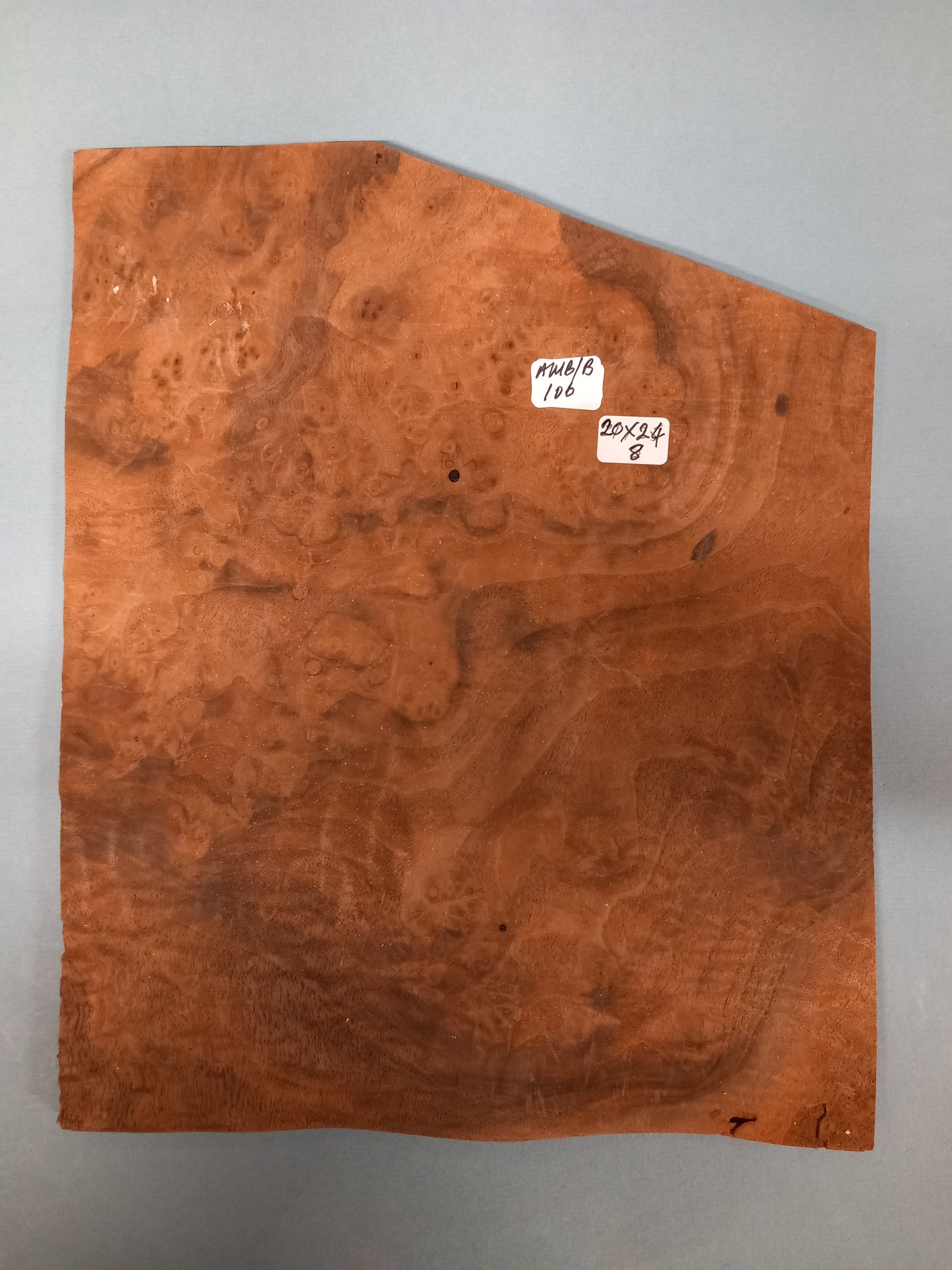 CONSECUTIVE SHEETS OF AMERICAN WALNUT BURR VENEER 20 X 24 CM