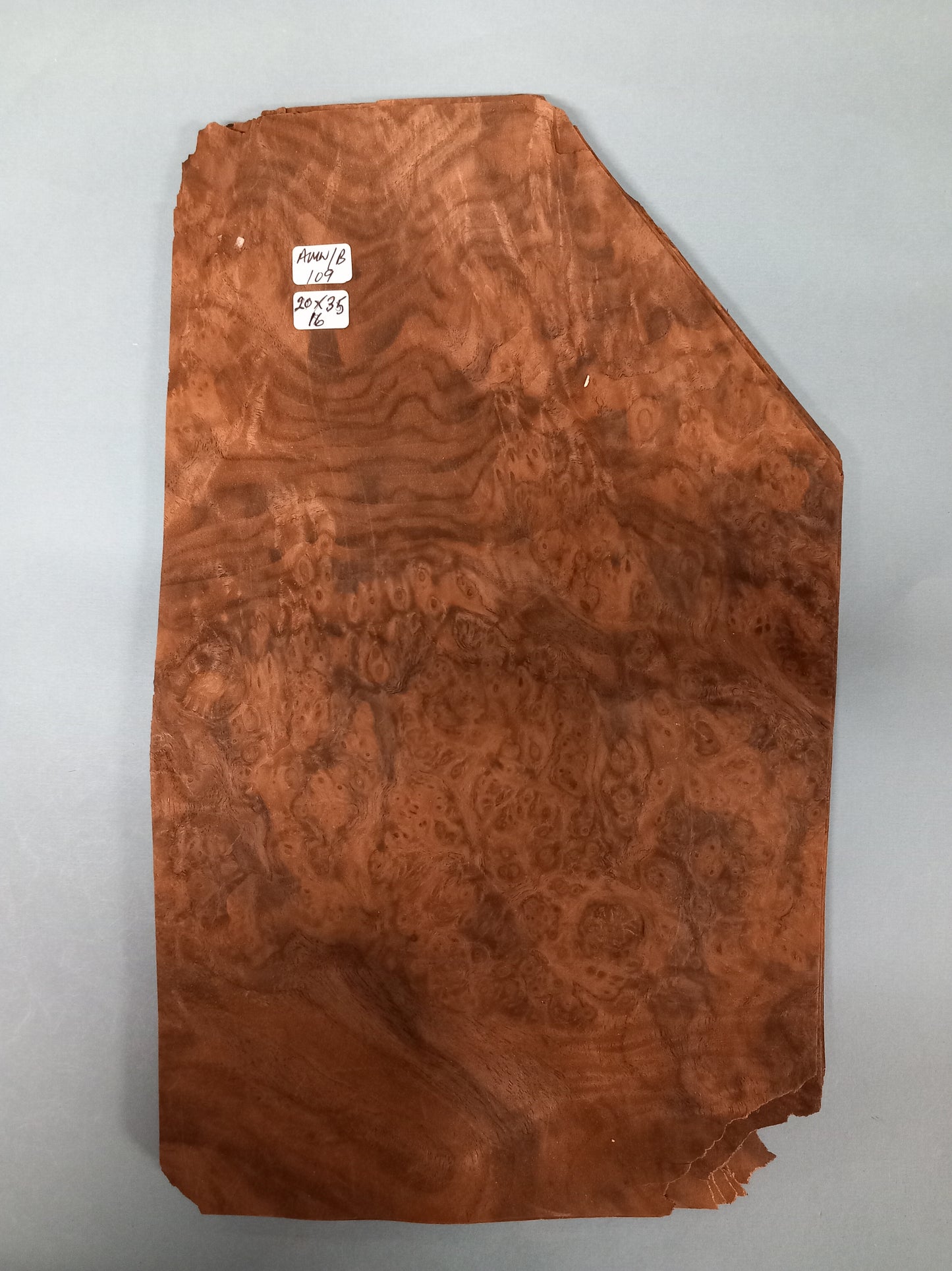 CONSECUTIVE SHEETS OF AMERICAN WALNUT BURR VENEER 20 X 35 CM