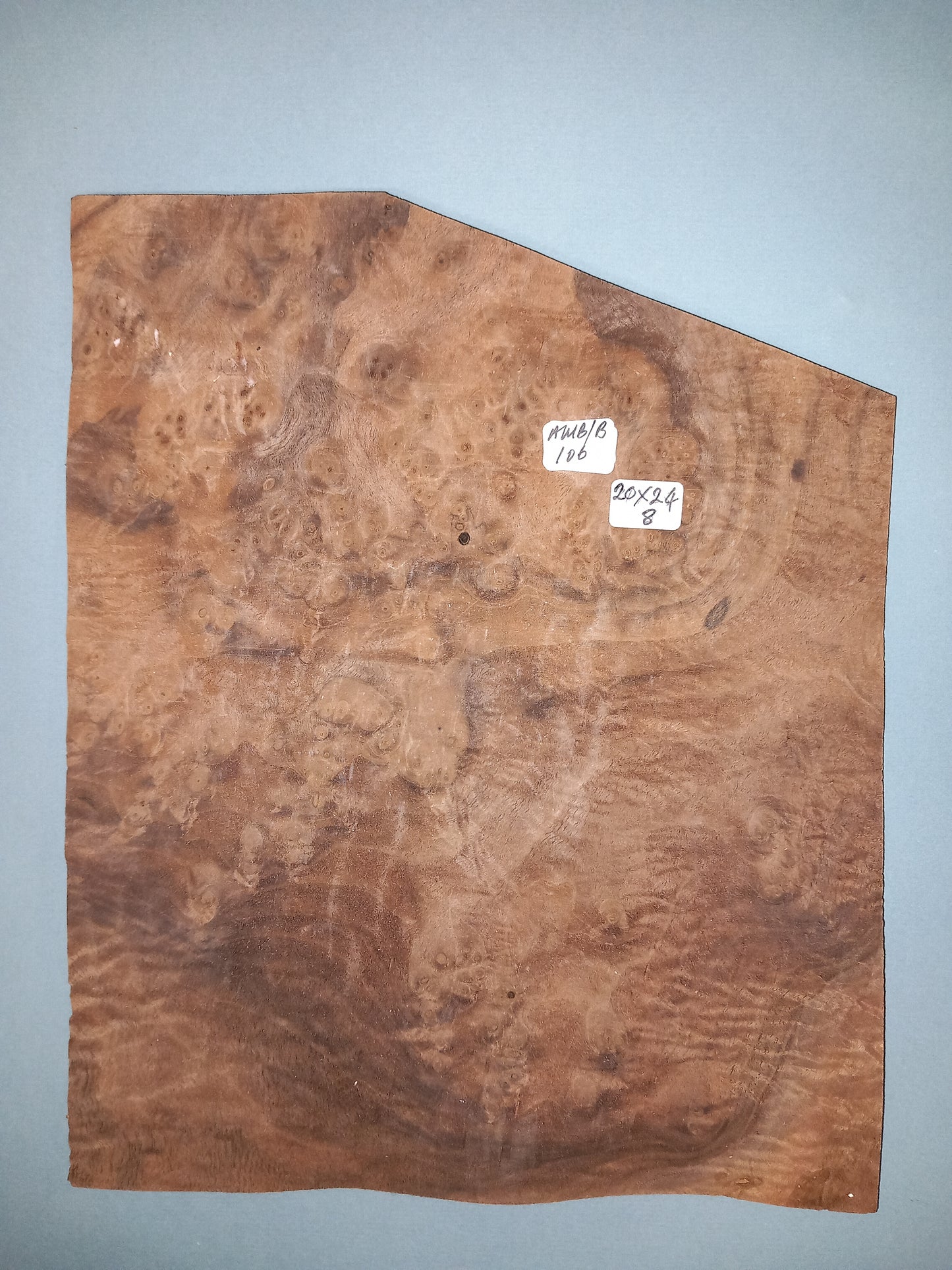CONSECUTIVE SHEETS OF AMERICAN WALNUT BURR VENEER 20 X 24 CM