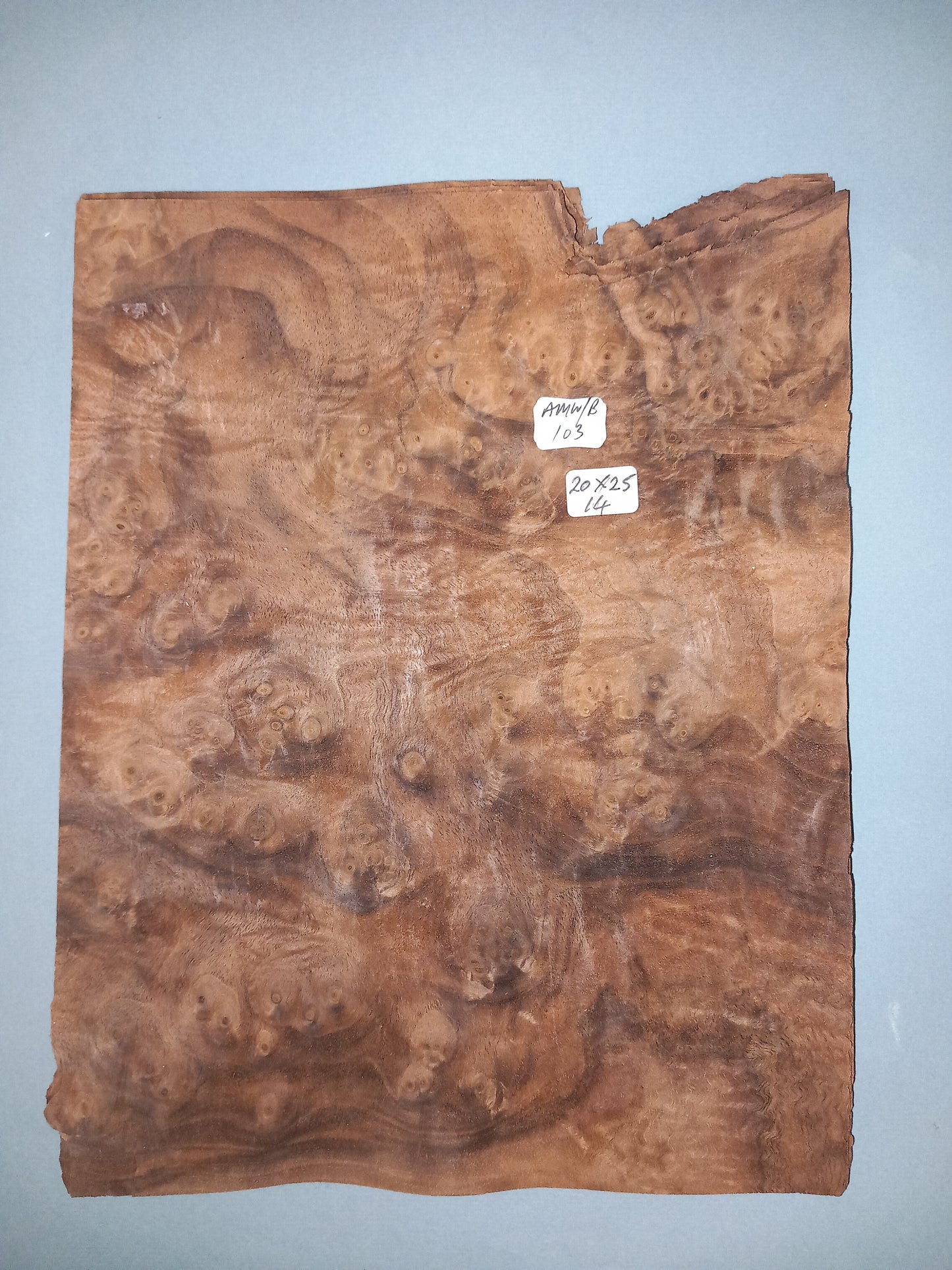 CONSECUTIVE SHEETS OF AMERICAN WALNUT BURR VENEER 20 X 25 CM