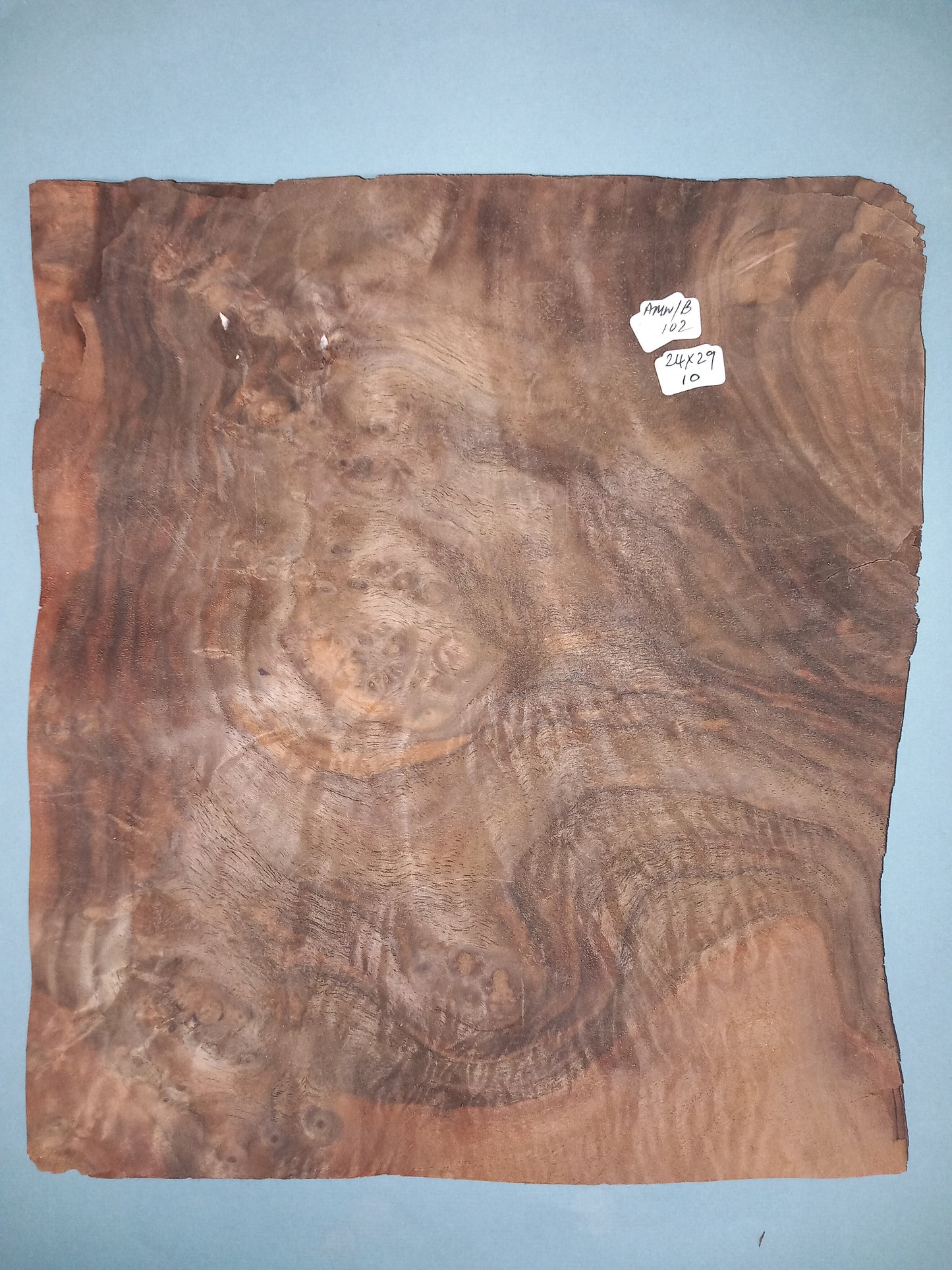 CONSECUTIVE SHEETS OF AMERICAN WALNUT BURR VENEER 24 X 29 CM
