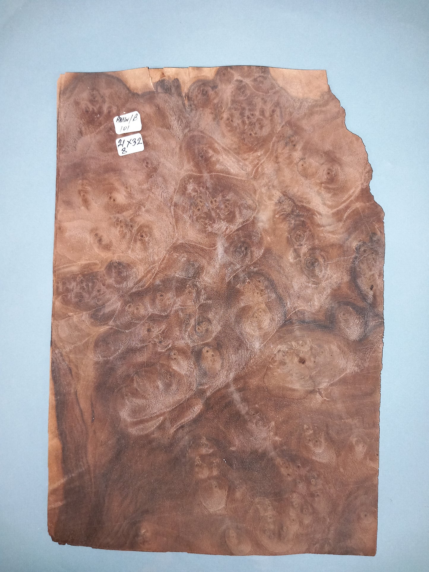 CONSECUTIVE SHEETS OF AMERICAN WALNUT BURR VENEER 21 X 32 CM