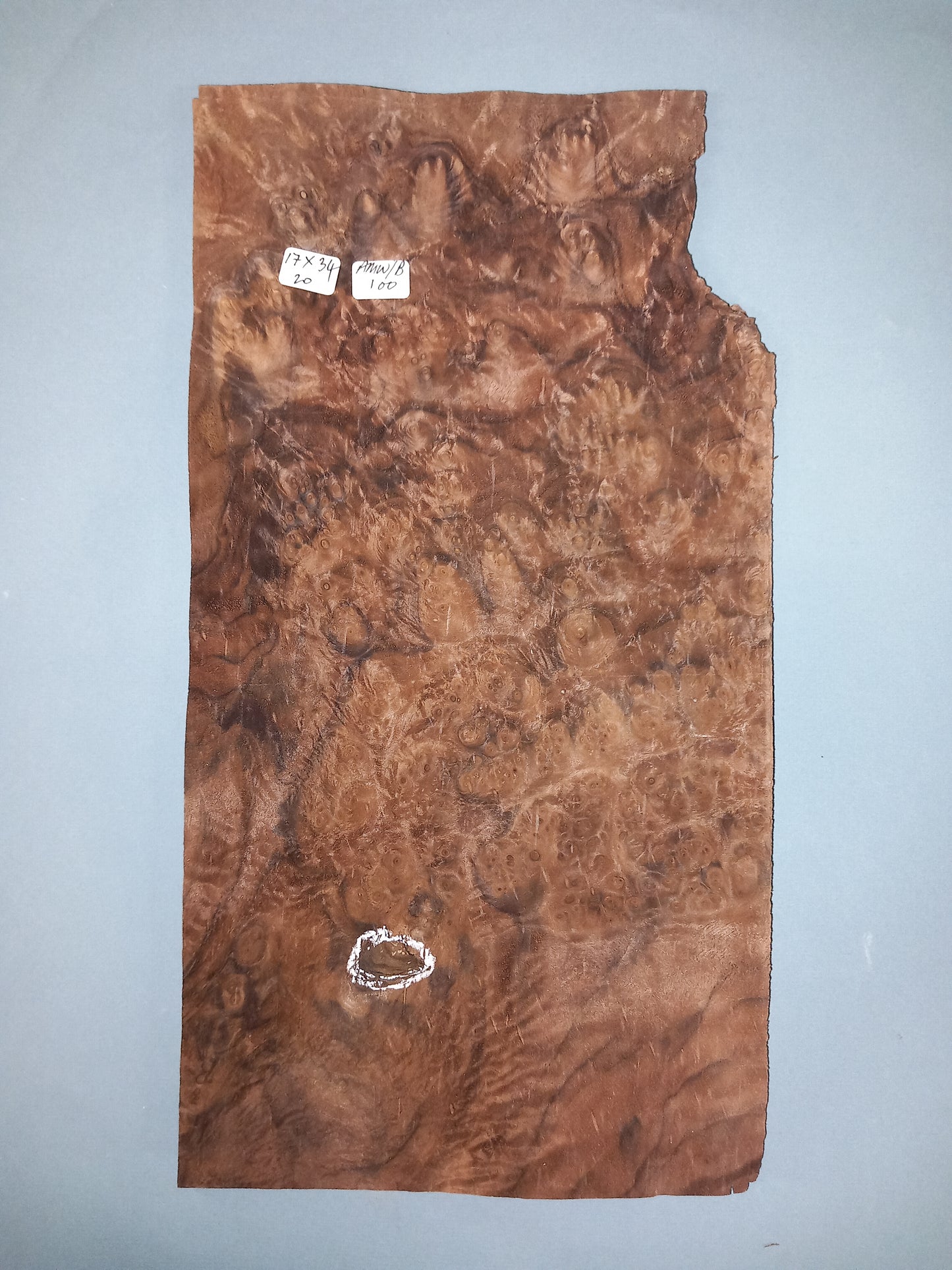 CONSECUTIVE SHEETS OF AMERICAN WALNUT BURR VENEER 17 X 34 CM
