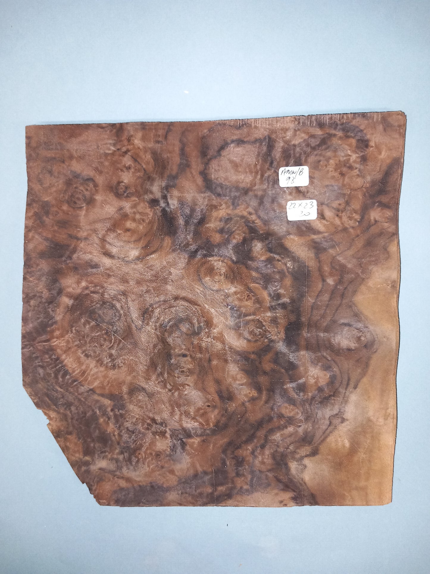 WALNUT AMERICAN BURR - 1 CONSECUTIVE SHEET 22x23cm