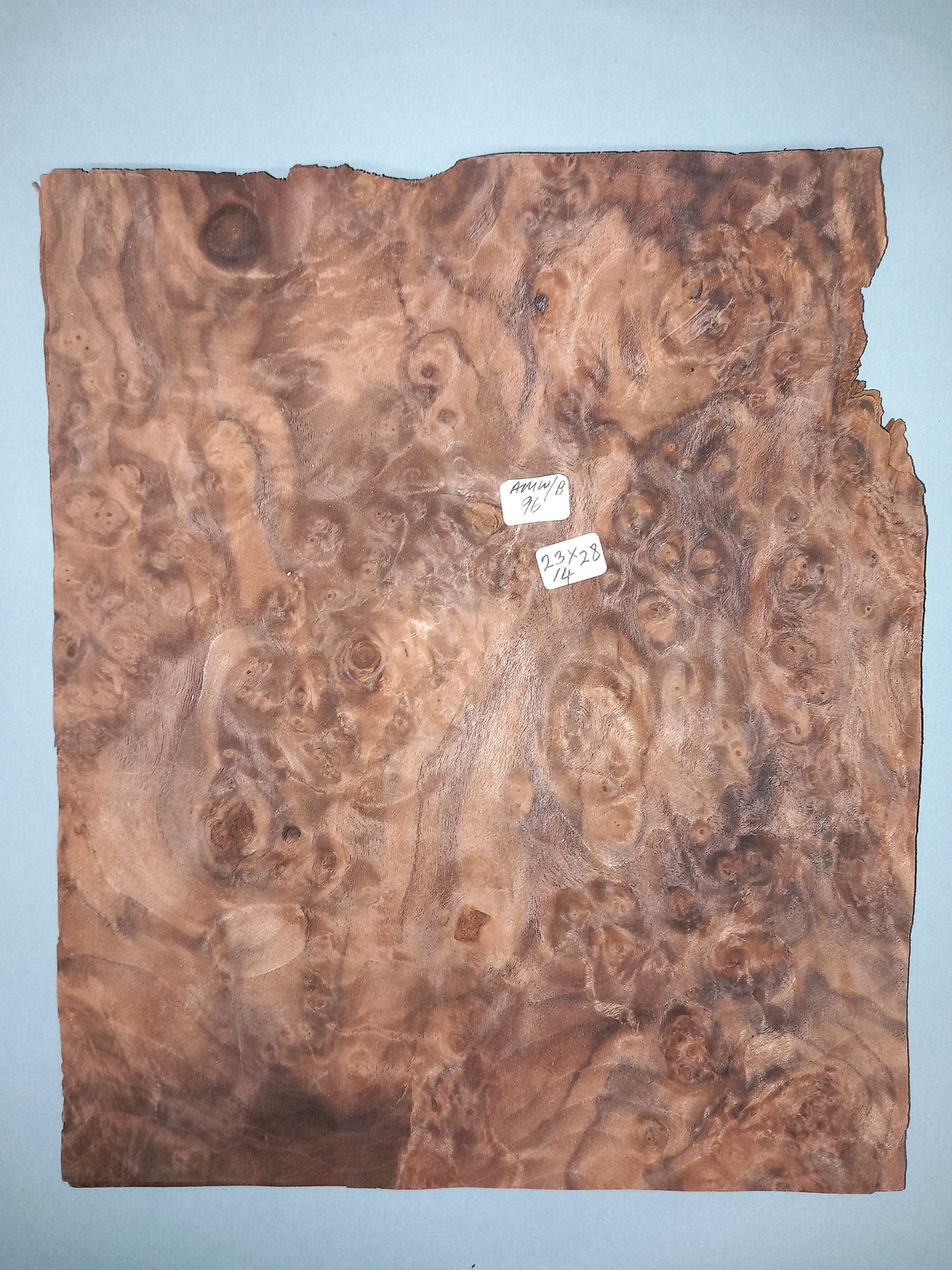 CONSECUTIVE SHEETS OF AMERICAN WALNUT BURR VENEER 23 X 28 CM