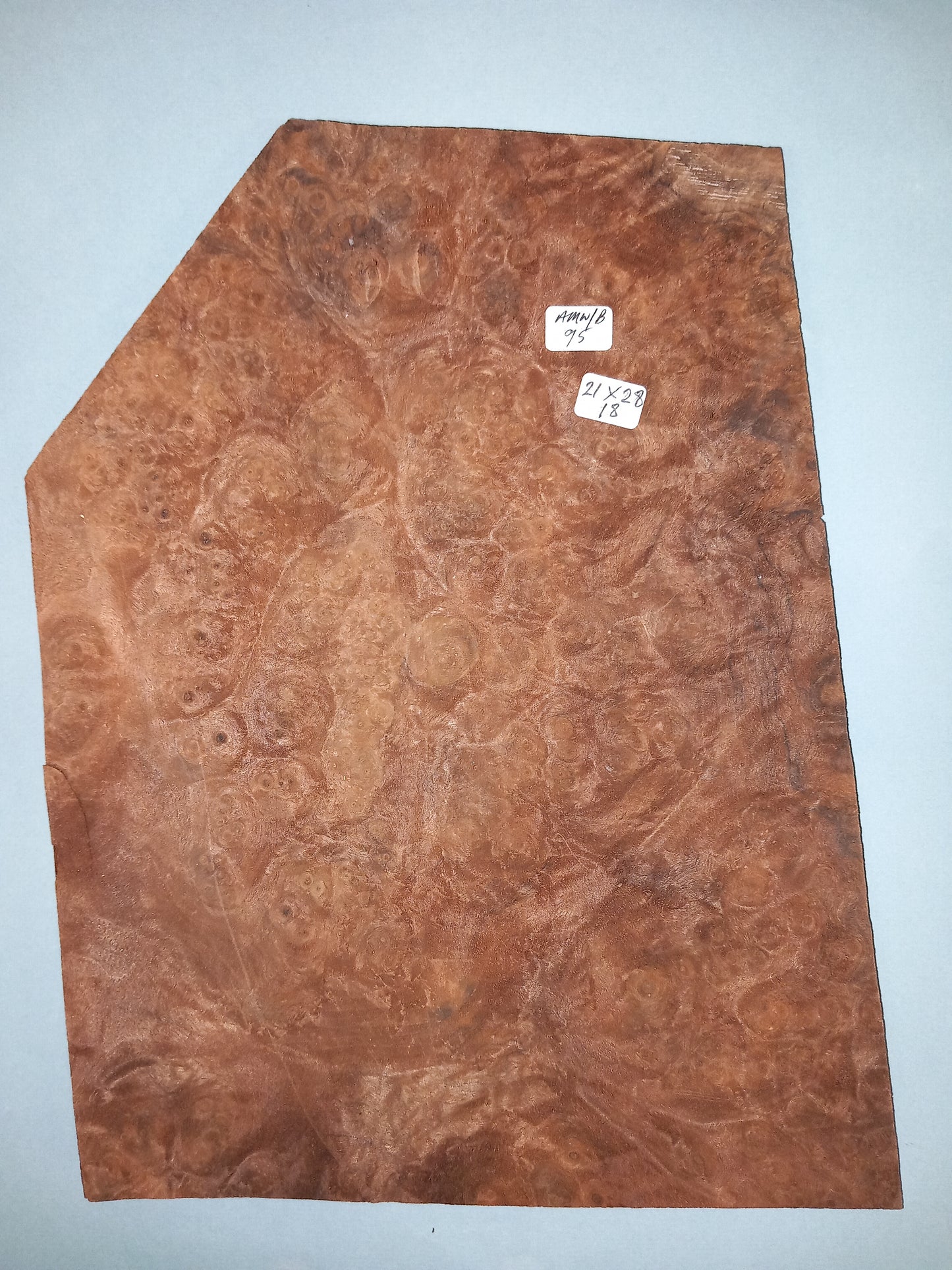 CONSECUTIVE SHEETS OF AMERICAN WALNUT BURR VENEER 21 X 28 CM