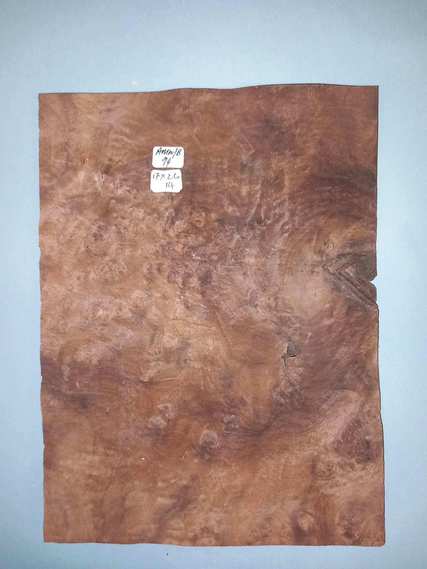 CONSECUTIVE SHEETS OF AMERICAN WALNUT BURR VENEER 17 X 26 CM