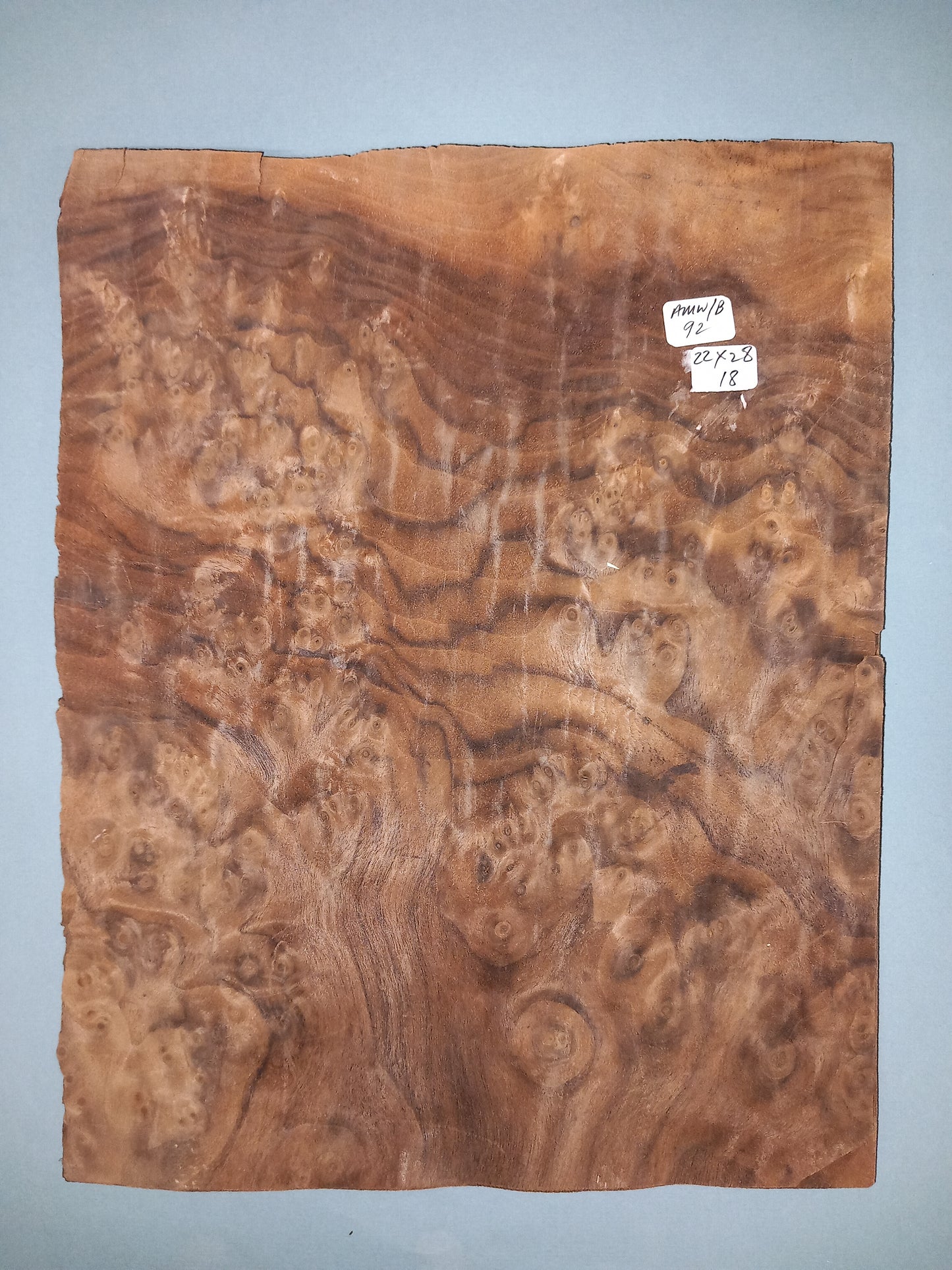 CONSECUTIVE SHEETS OF AMERICAN WALNUT BURR VENEER 22 X 28 CM