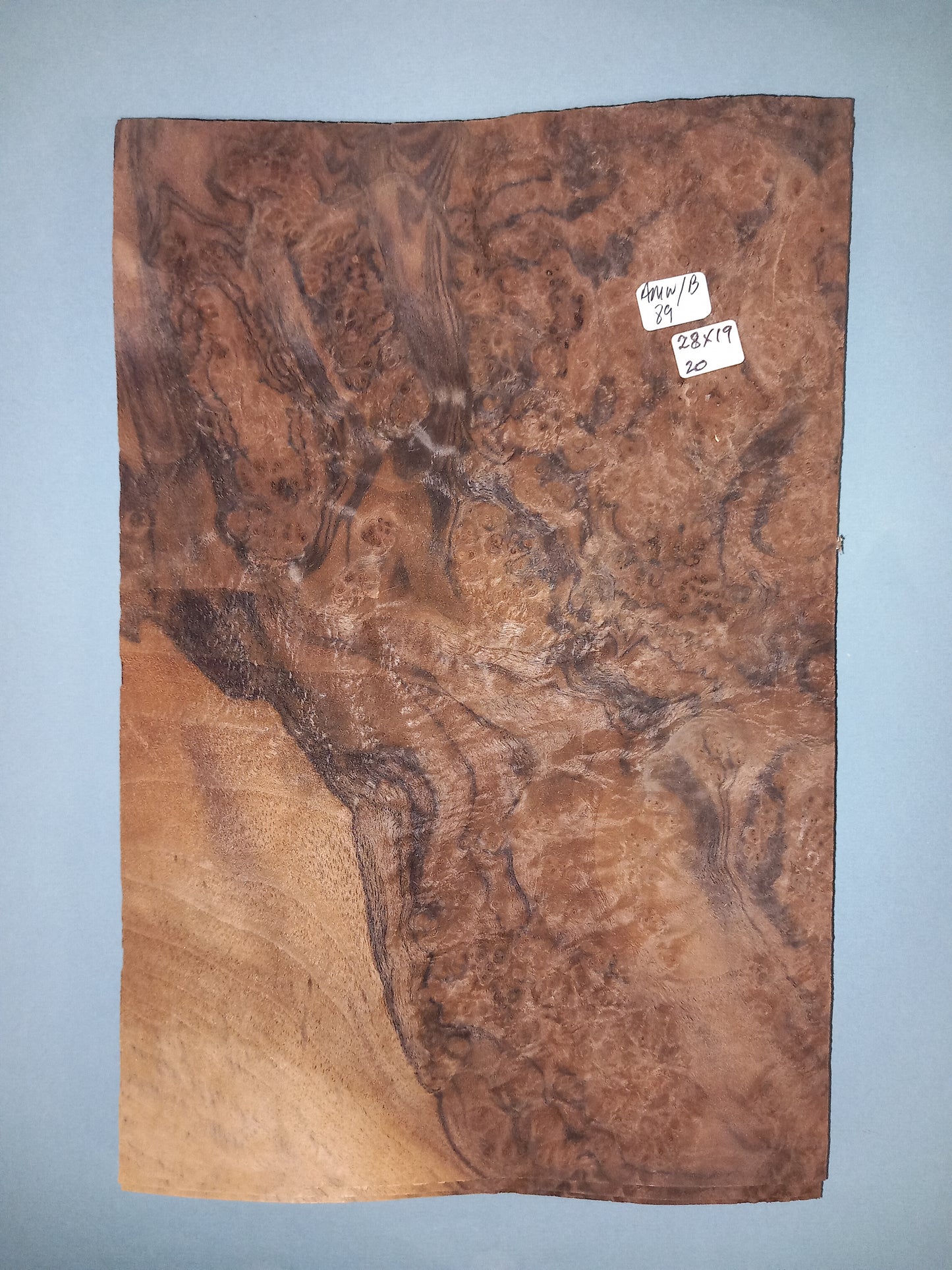 CONSECUTIVE SHEETS OF AMERICAN WALNUT BURR VENEER 19 X 28 CM