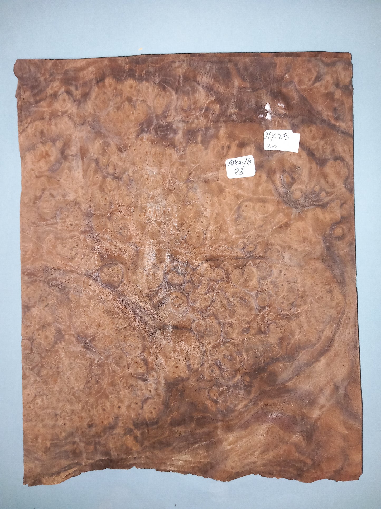CONSECUTIVE SHEETS OF AMERICAN WALNUT BURR VENEER 21 X 25 CM