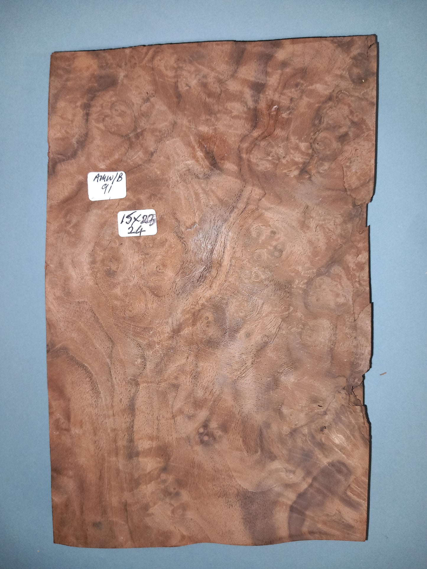 CONSECUTIVE SHEETS OF AMERICAN WALNUT BURR VENEER 15 X 23 CM
