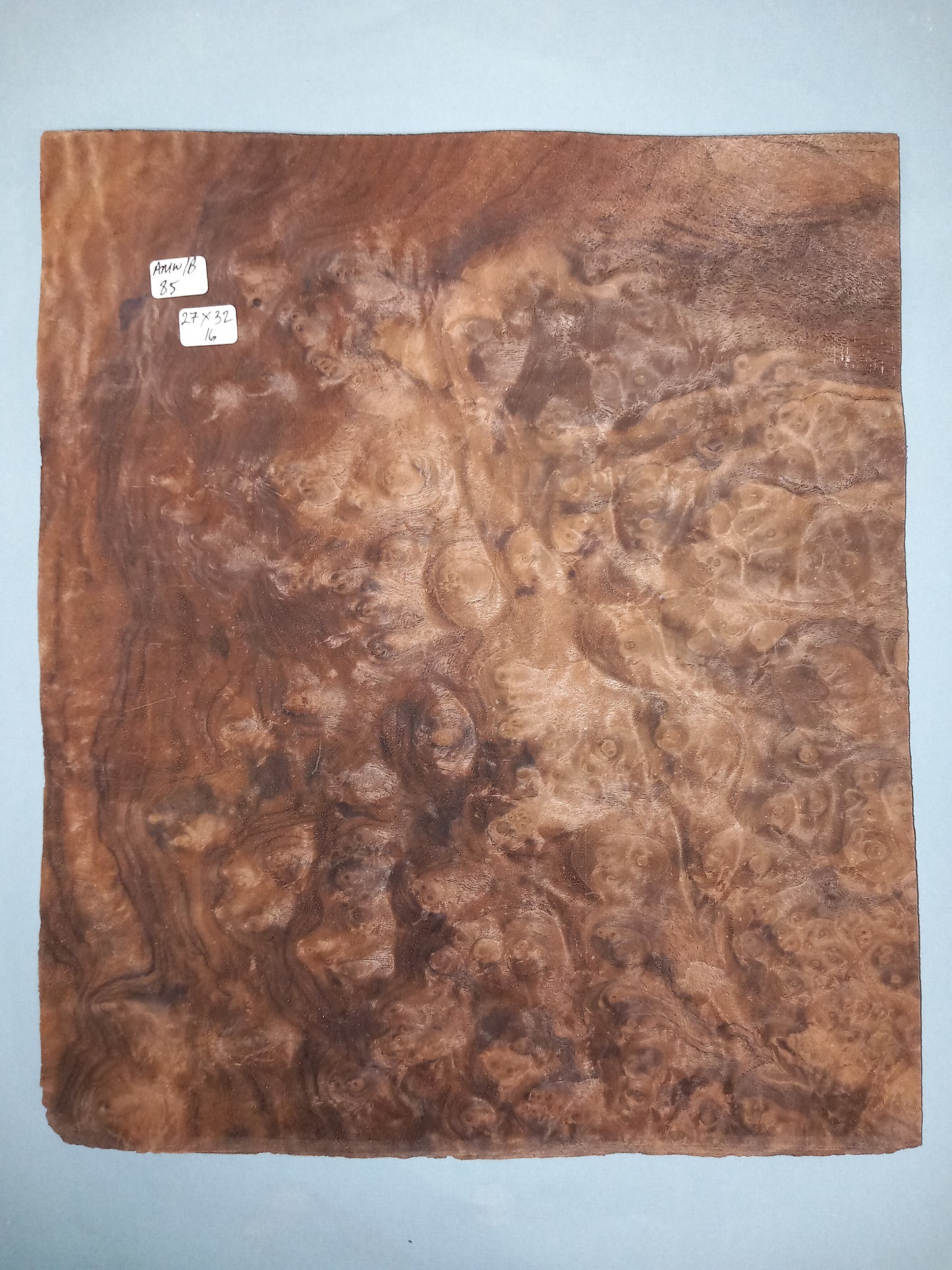 CONSECUTIVE SHEETS OF AMERICAN WALNUT BURR VENEER 27 X 32 CM