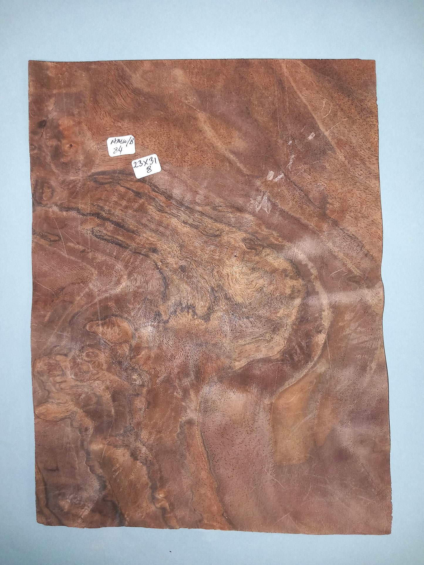 CONSECUTIVE SHEETS OF AMERICAN WALNUT BURR VENEER 23 X 31 CM