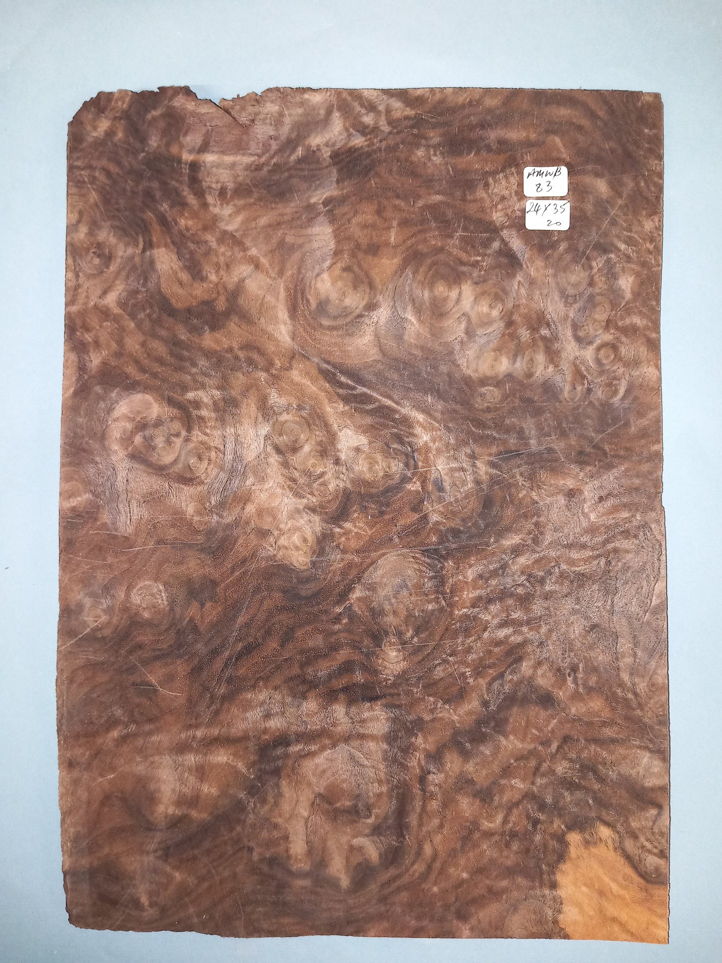 CONSECUTIVE SHEETS OF AMERICAN WALNUT BURR VENEER 24 X 35 CM