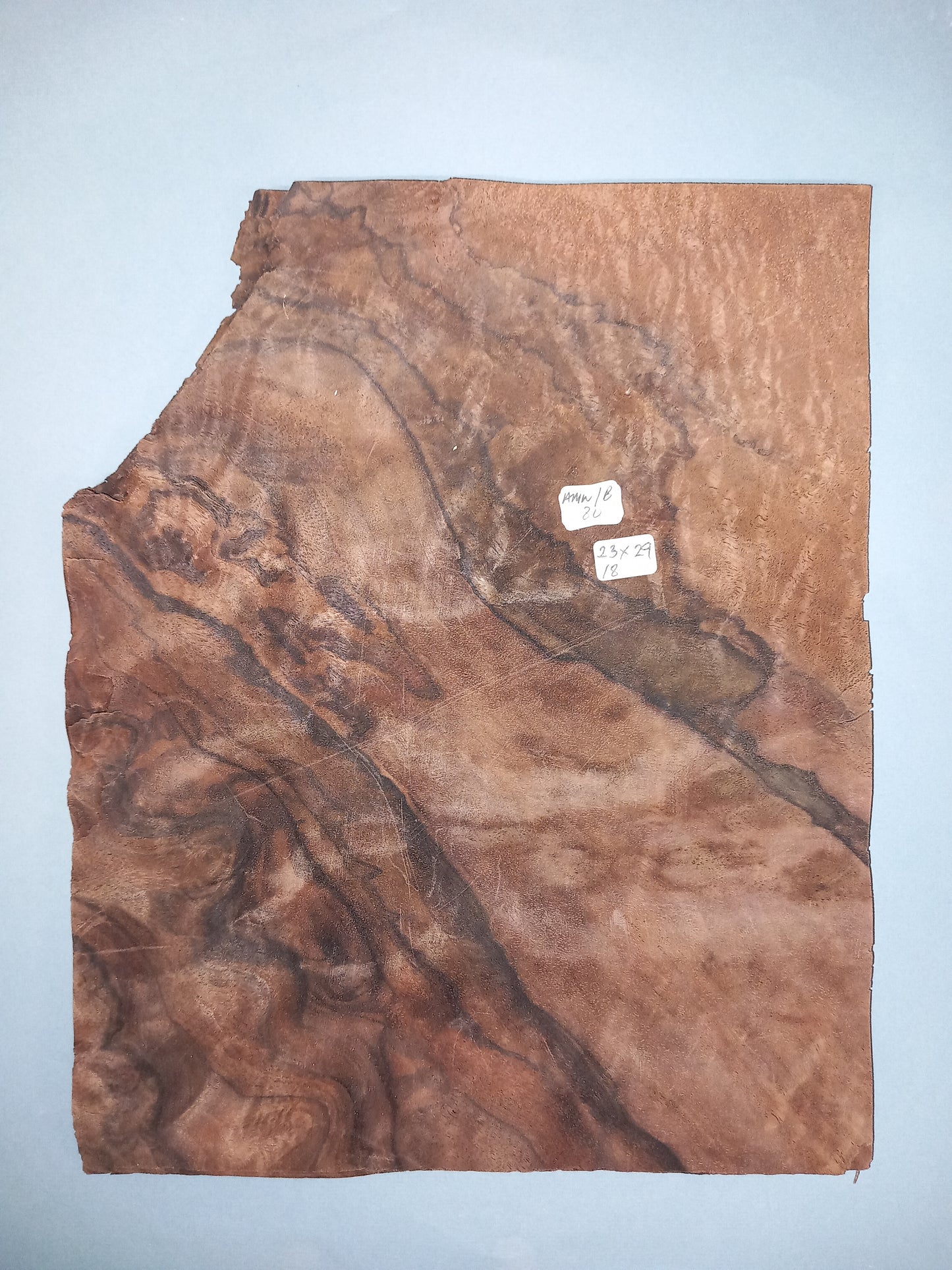 CONSECUTIVE SHEETS OF AMERICAN WALNUT BURR VENEER 23 X 29 CM