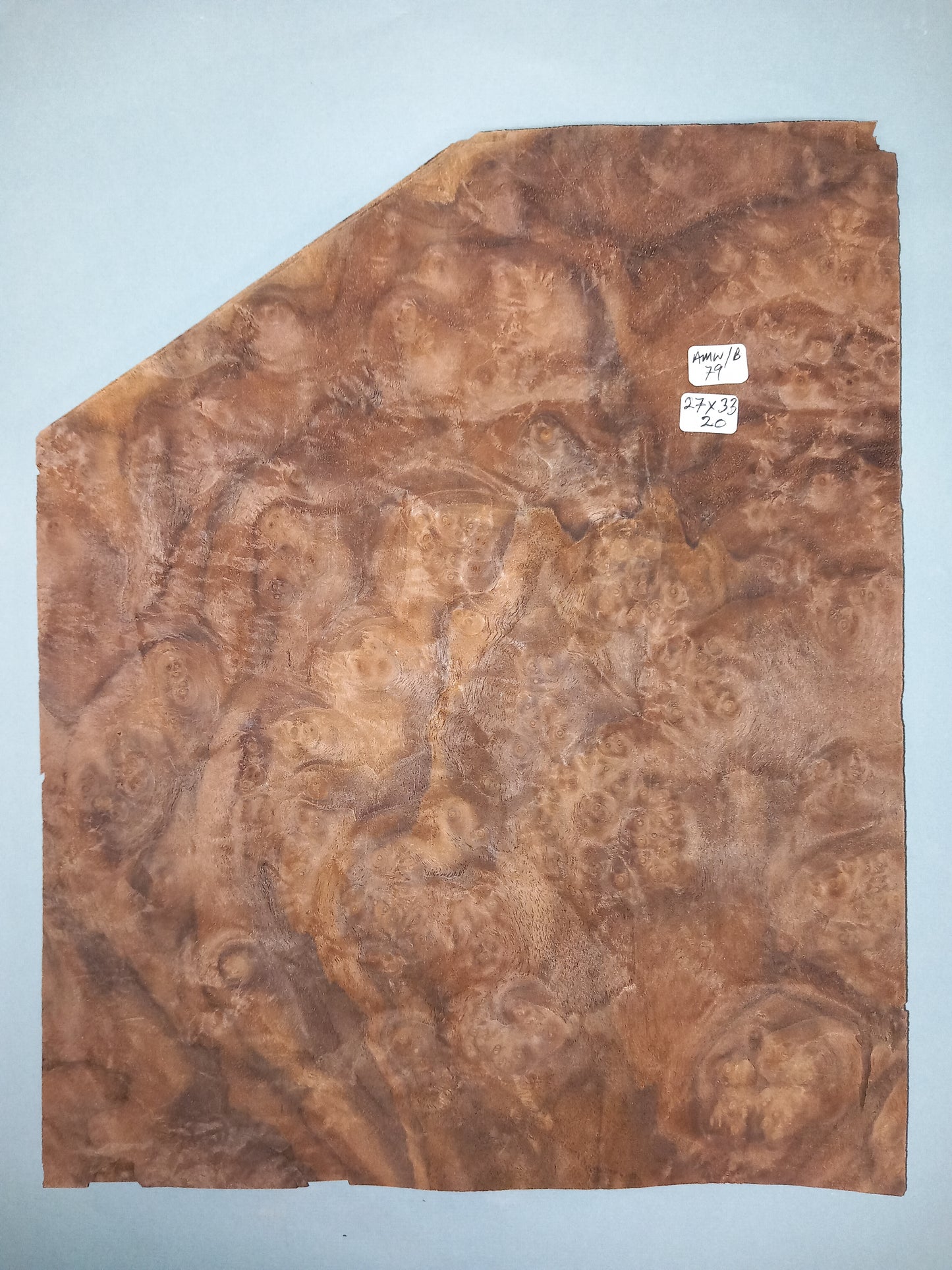 CONSECUTIVE SHEETS OF AMERICAN WALNUT BURR VENEER 27 X 33 CM