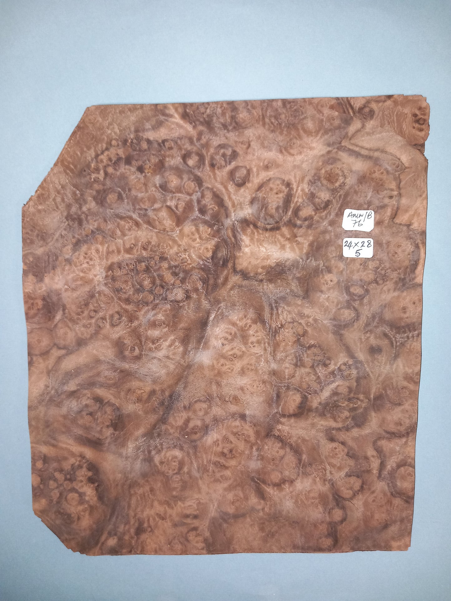CONSECUTIVE SHEETS OF AMERICAN WALNUT BURR VENEER 24 X 28 CM